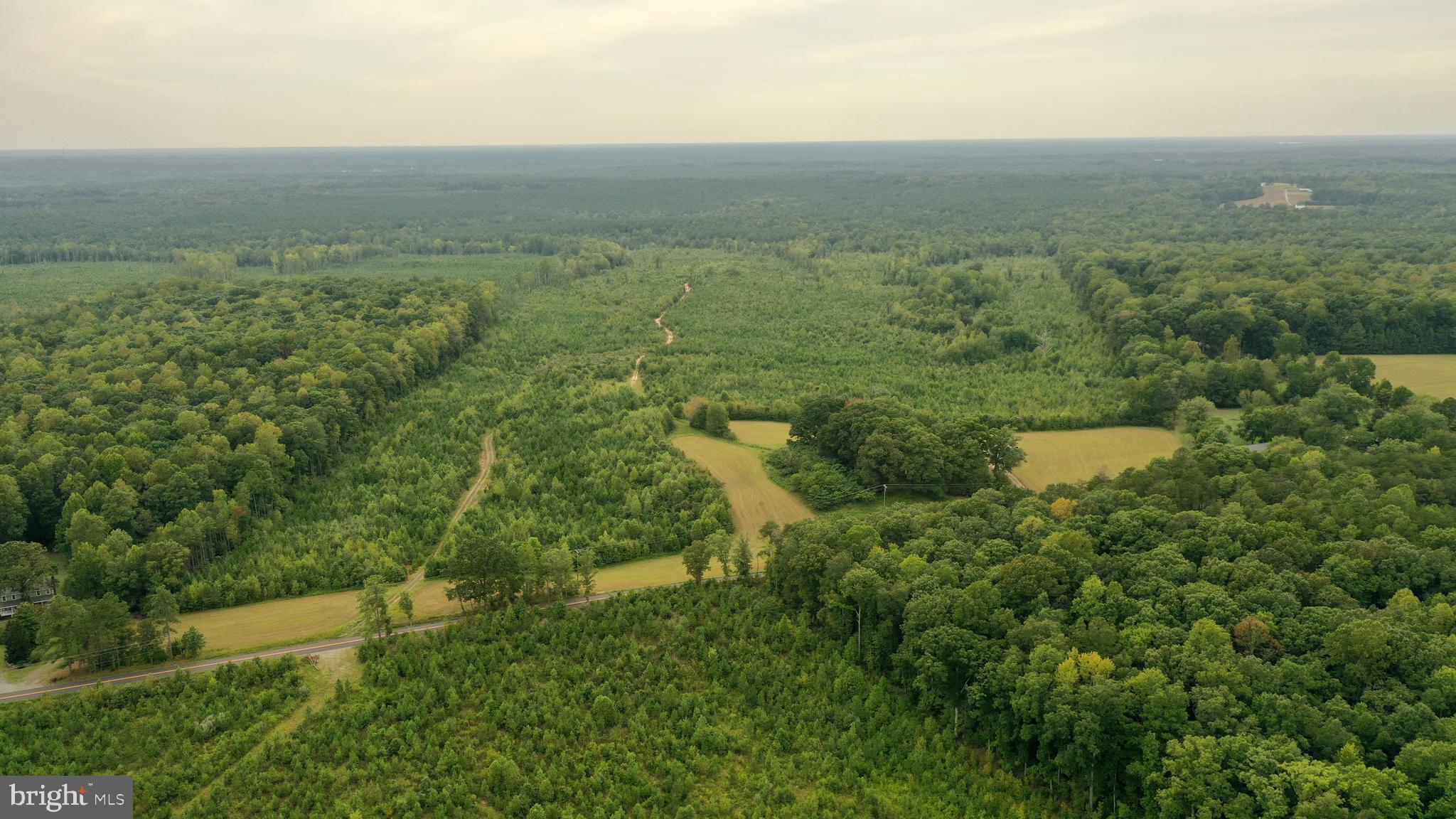 4698 Jericho Road Ruther Glen, VA 22546 - Photo 4 of 51