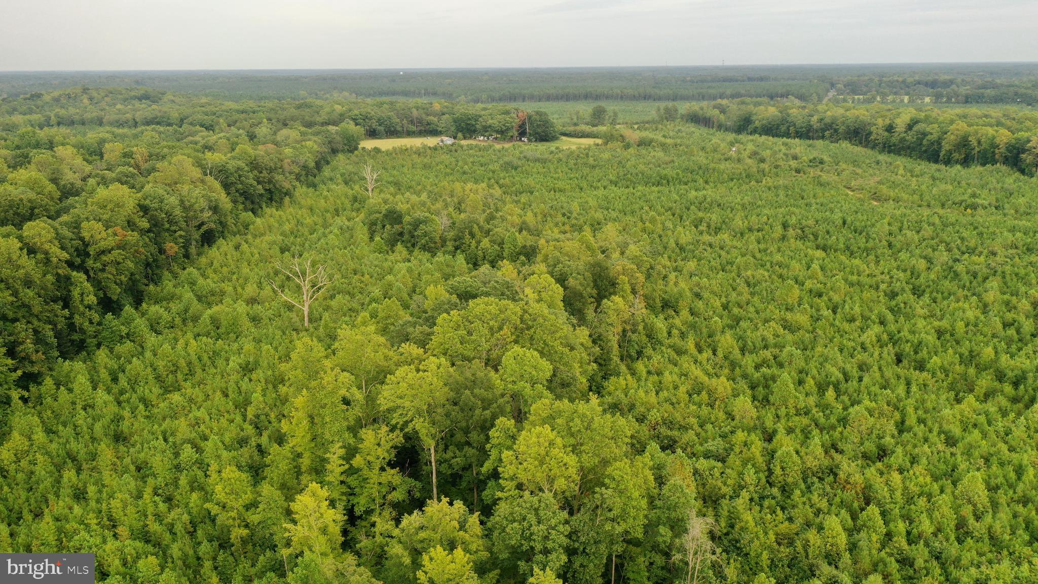 4698 Jericho Road Ruther Glen, VA 22546 - Photo 41 of 51