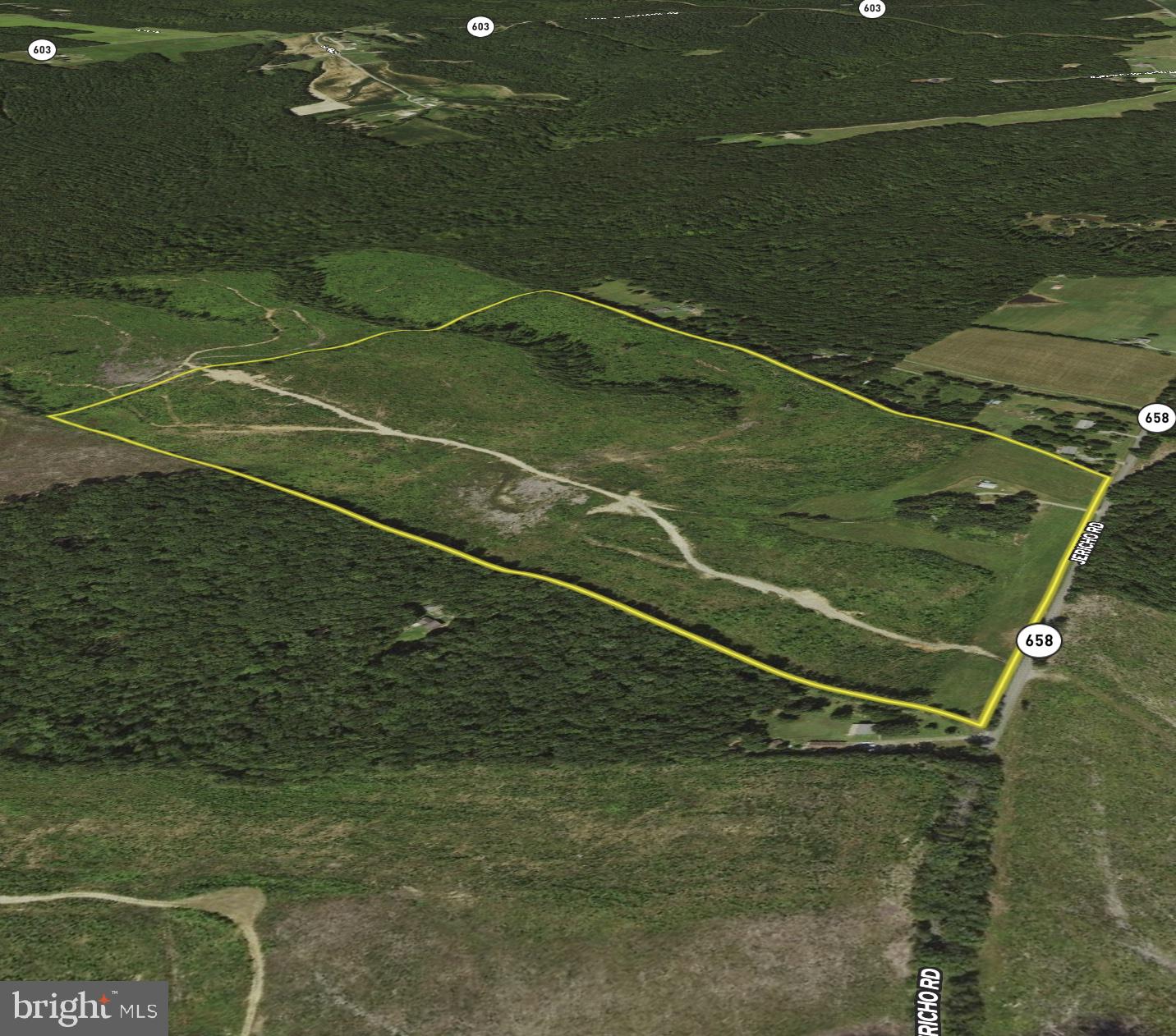 4698 Jericho Road Ruther Glen, VA 22546 - Photo 46 of 51