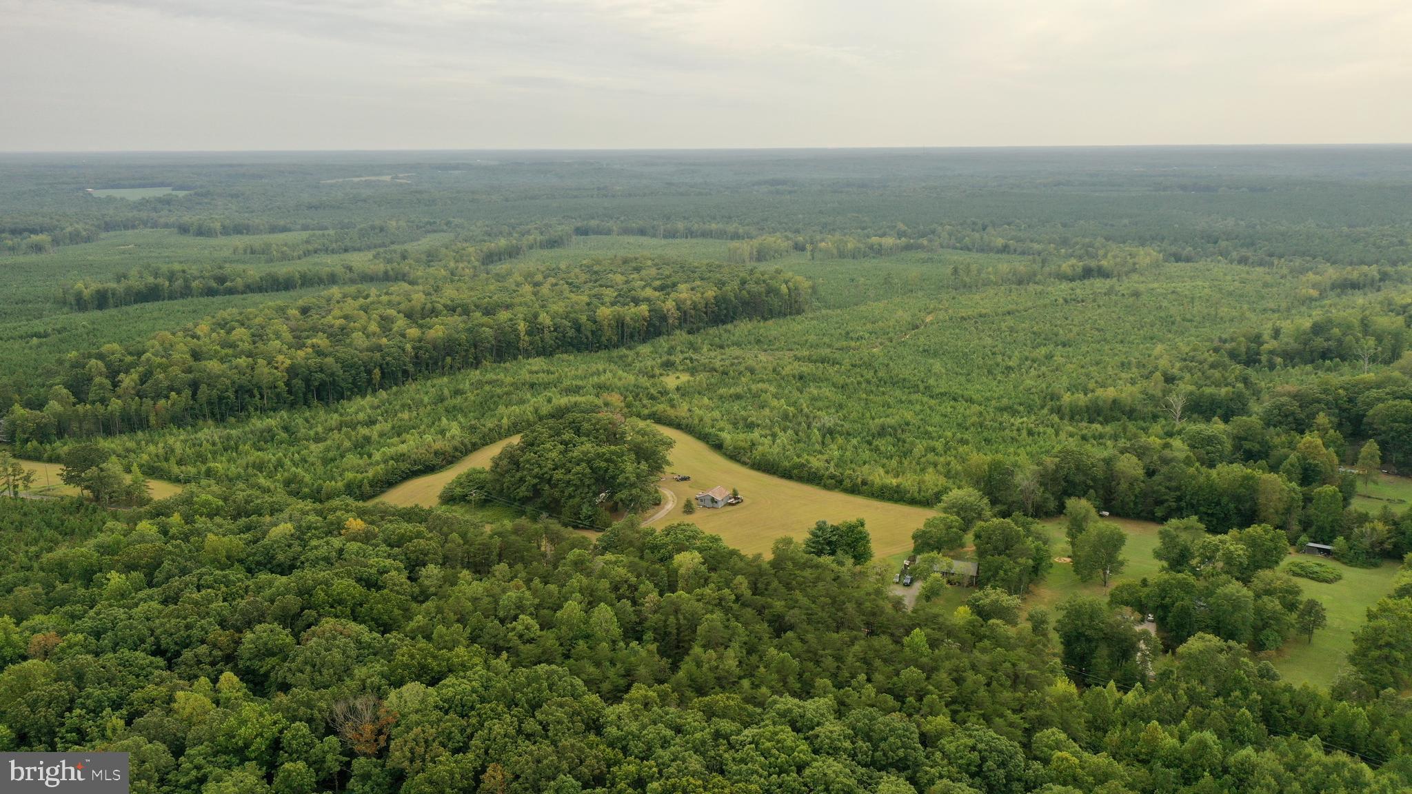 4698 Jericho Road Ruther Glen, VA 22546 - Photo 5 of 51