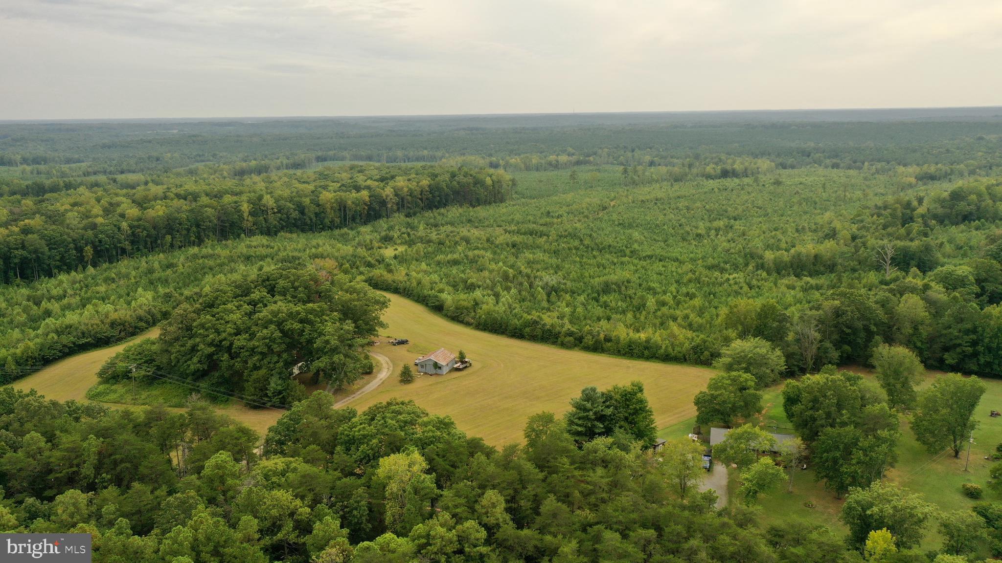 4698 Jericho Road Ruther Glen, VA 22546 - Photo 6 of 51