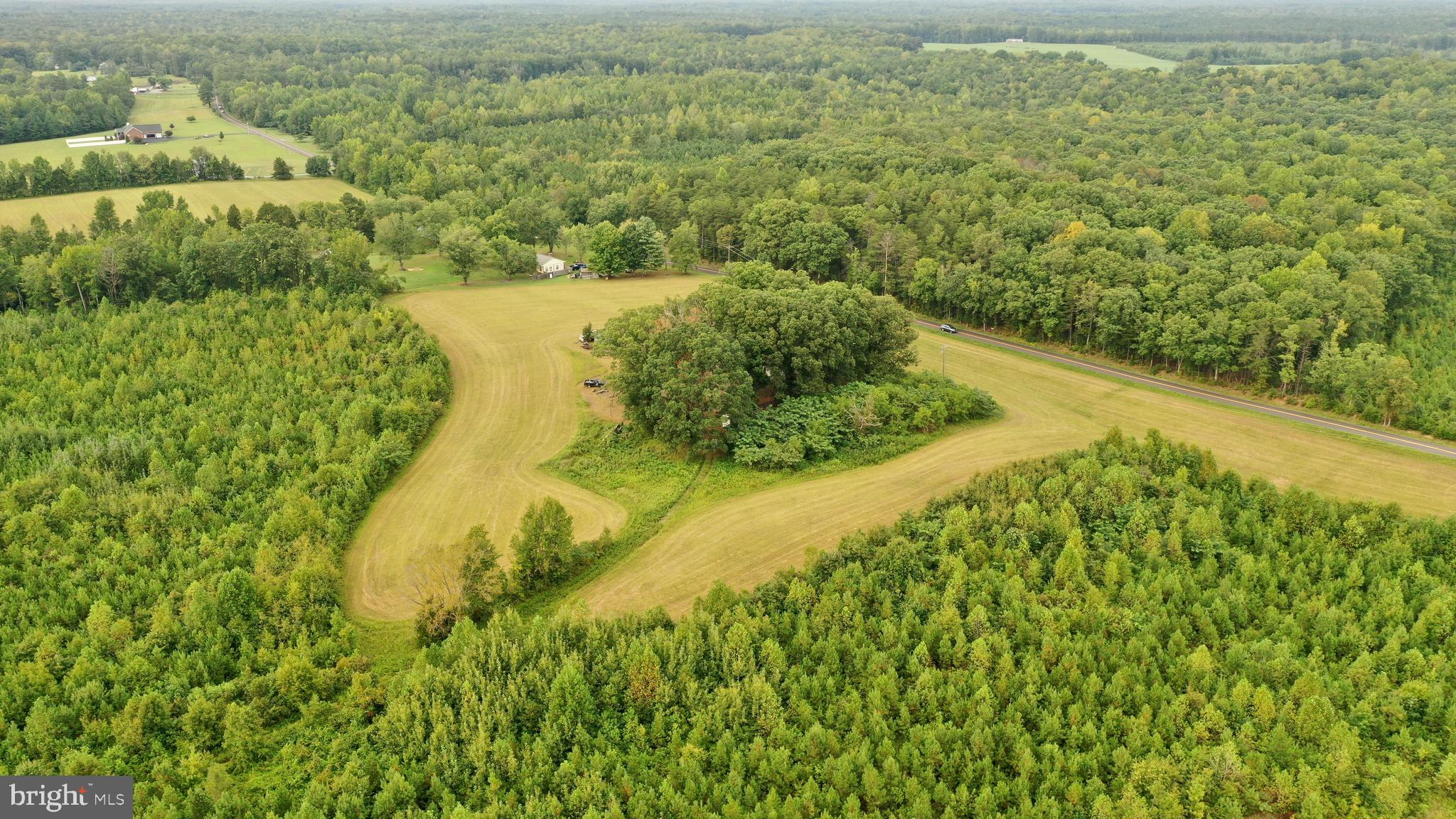 4698 Jericho Road Ruther Glen, VA 22546 - Photo 10 of 51