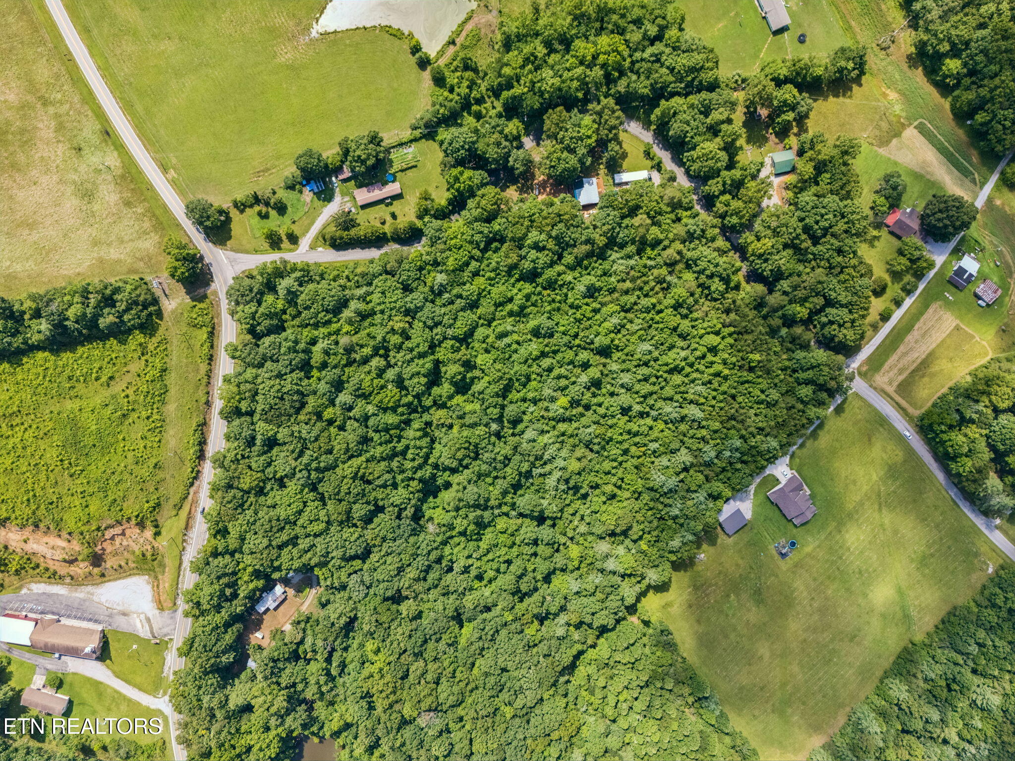 Ridge Road Lancing, TN 37770 - Photo 14 of 18 14-130 Ridge Rd - 014