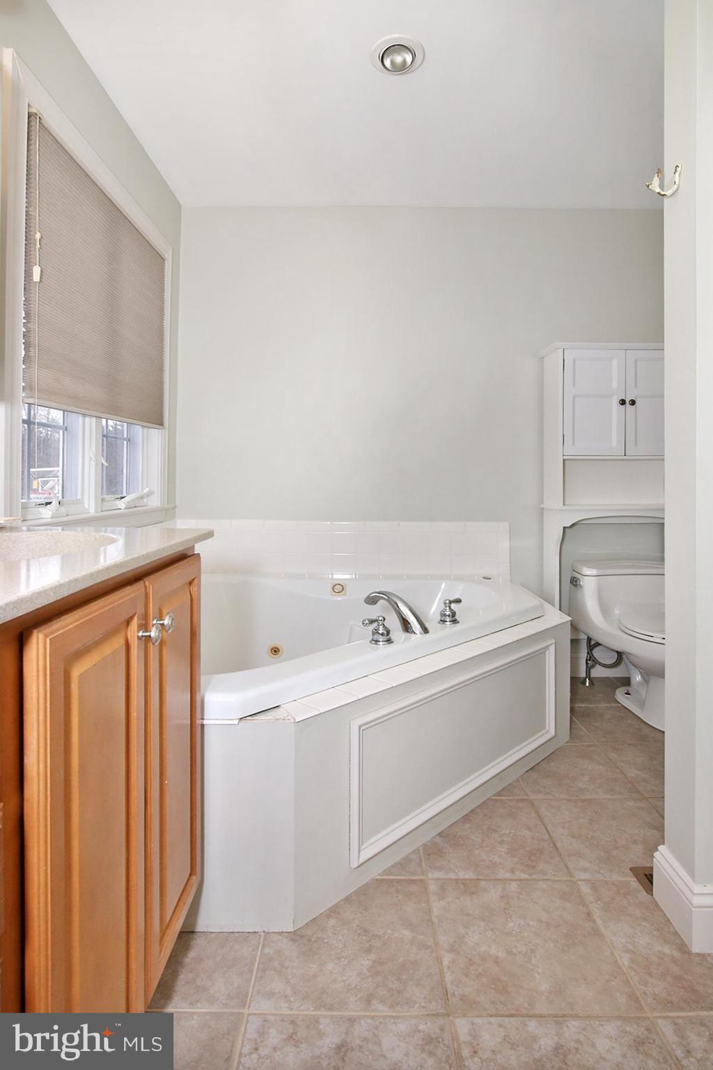 805 Mt Wilson Road Lebanon, PA 17042 - Photo 40 of 67 a bathroom with a bathtub and a sink