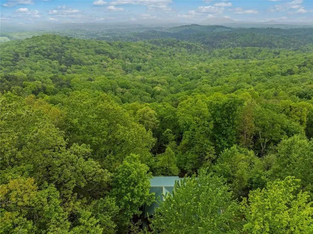 a view of a field of grass and trees