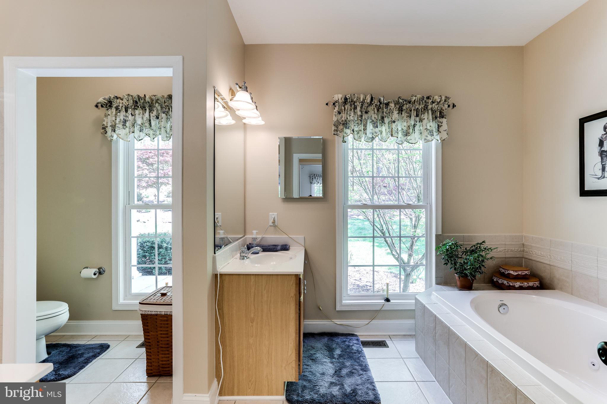 2567 Ebbvale Road Manchester, MD 21102 - Photo 22 of 50 Main Level Master Bath