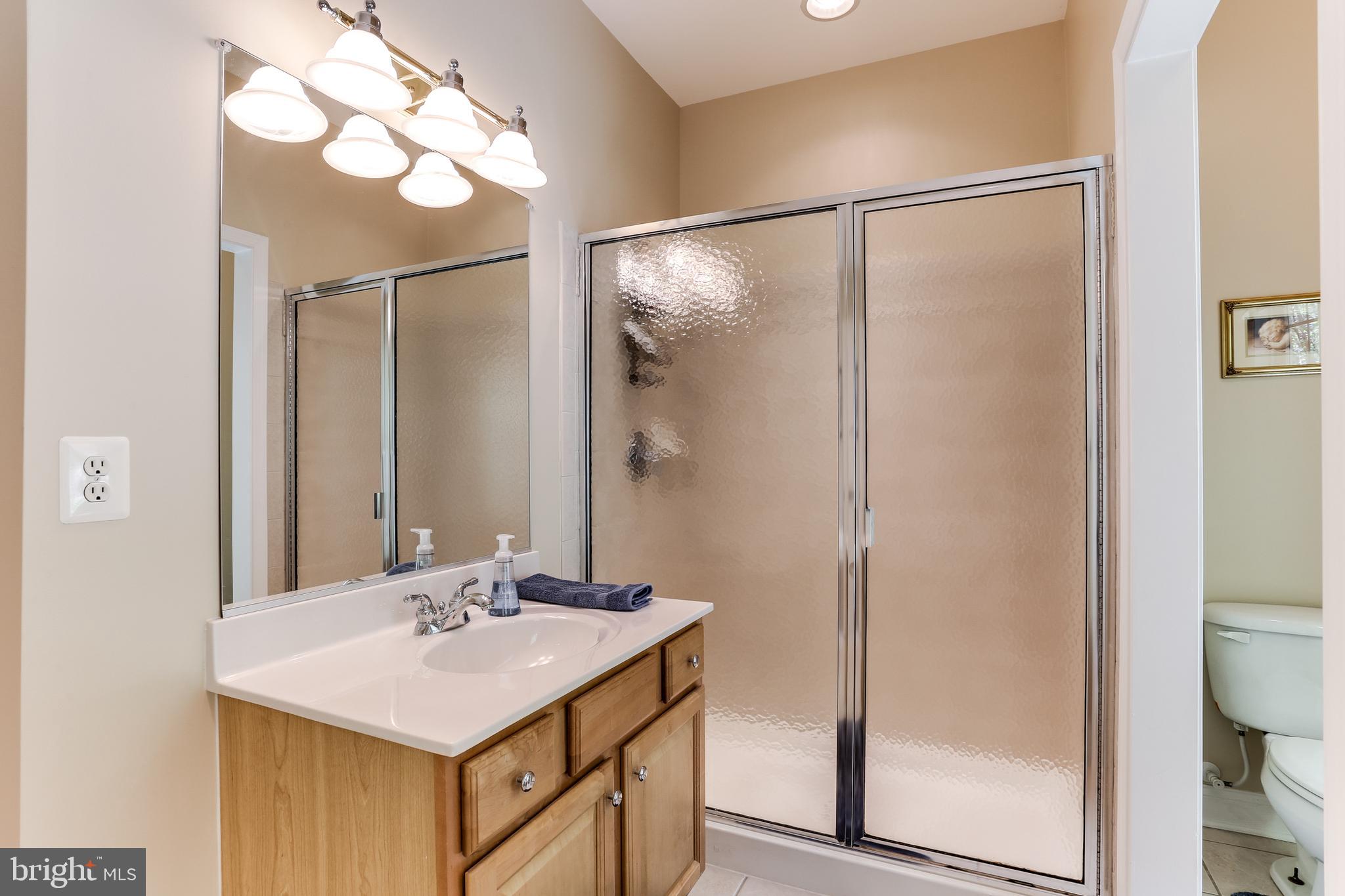 2567 Ebbvale Road Manchester, MD 21102 - Photo 23 of 50 Main Level Master Bath w/ Separate Shower