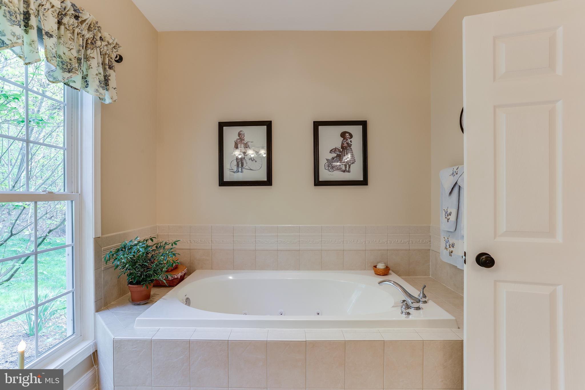 2567 Ebbvale Road Manchester, MD 21102 - Photo 24 of 50 Main Level Master Bath w/ Jetted Soaking Tub