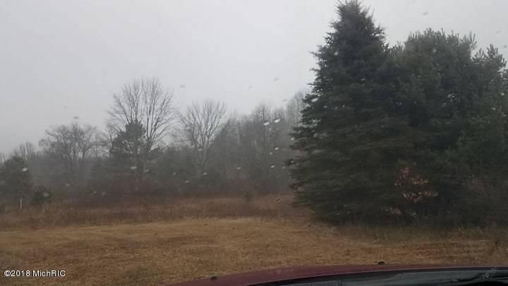 0 Monroe Road White Cloud, MI 49349 - Photo 4 of 11