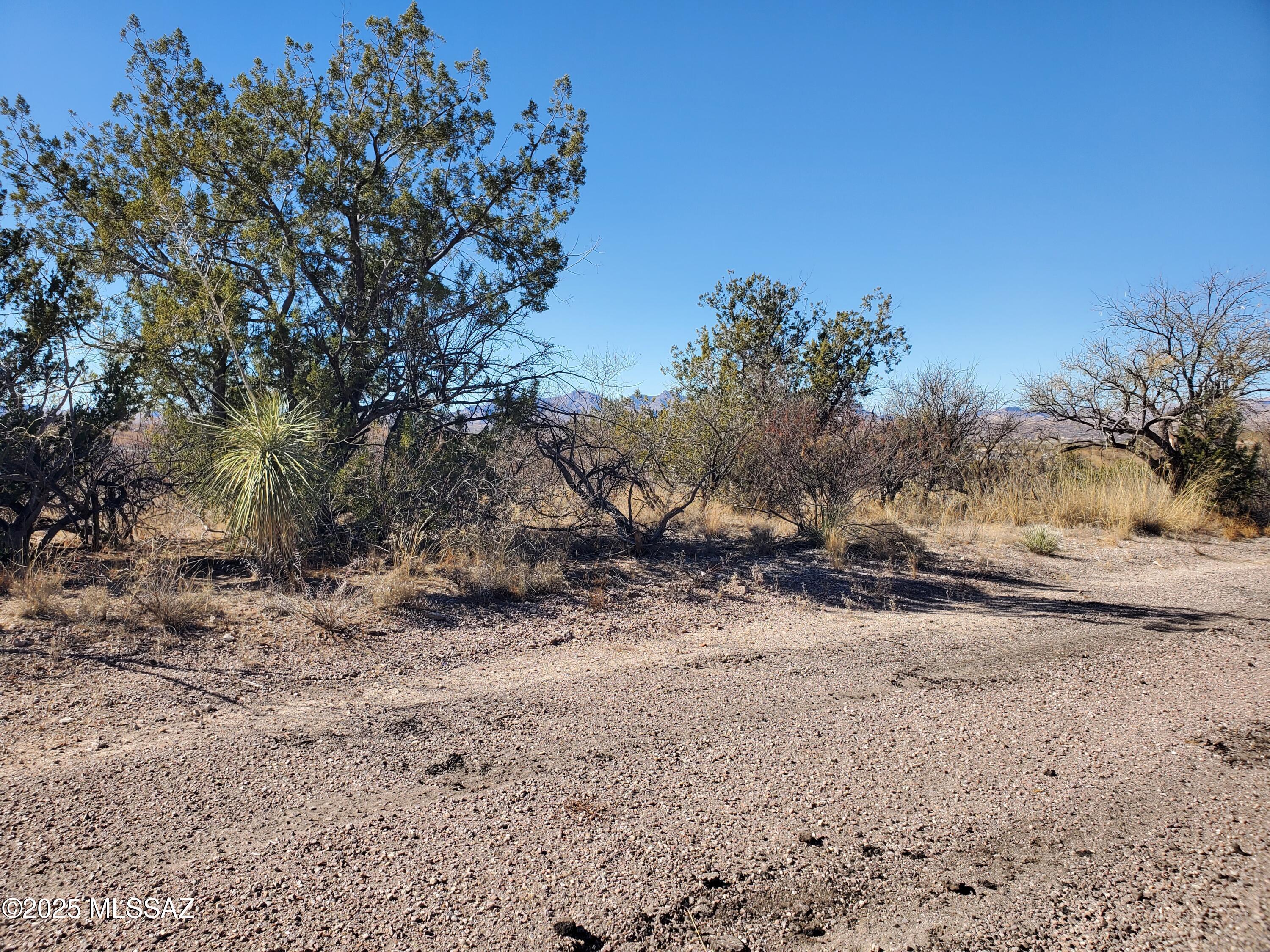 133 Juego Court, Unit 21 Rio Rico, AZ 85648 - Photo 6 of 11