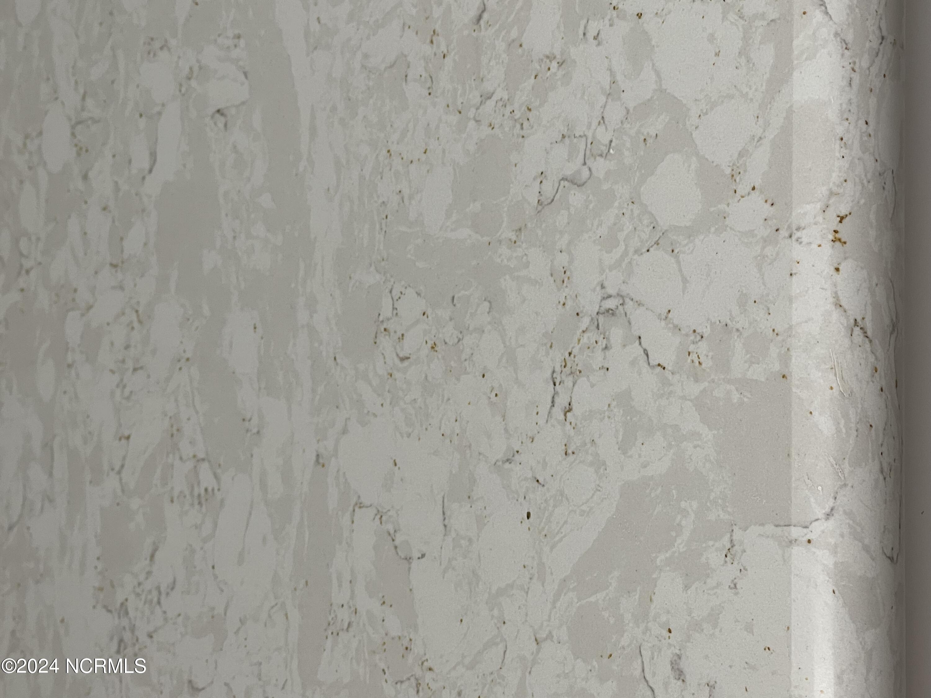 5005 Long Pointe Road Wilmington, NC 28409 - Photo 4 of 29 Quartz - up close