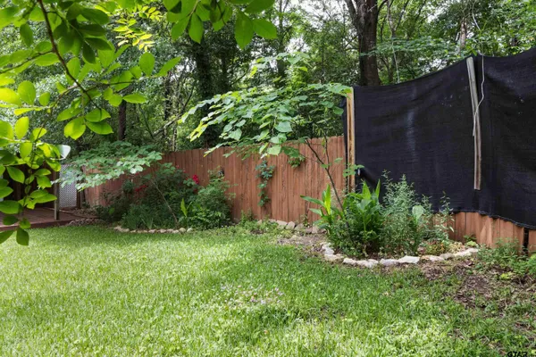 a view of a backyard with plants and a large tree
