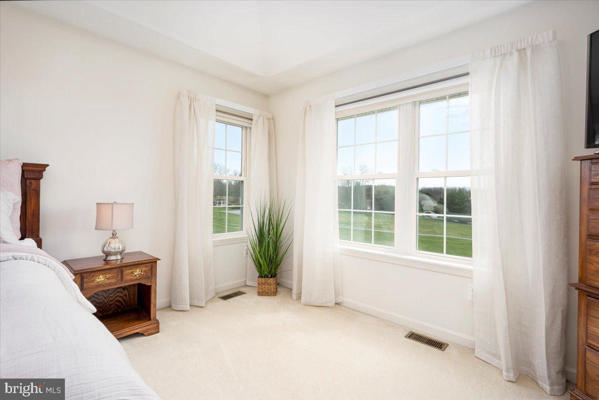 6135 Cabbage Spring Road Mount Airy, MD 21771 - Photo 43 of 71