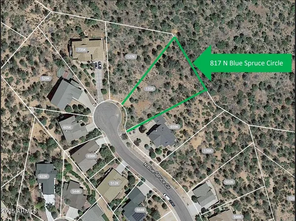 an aerial view of a backyard