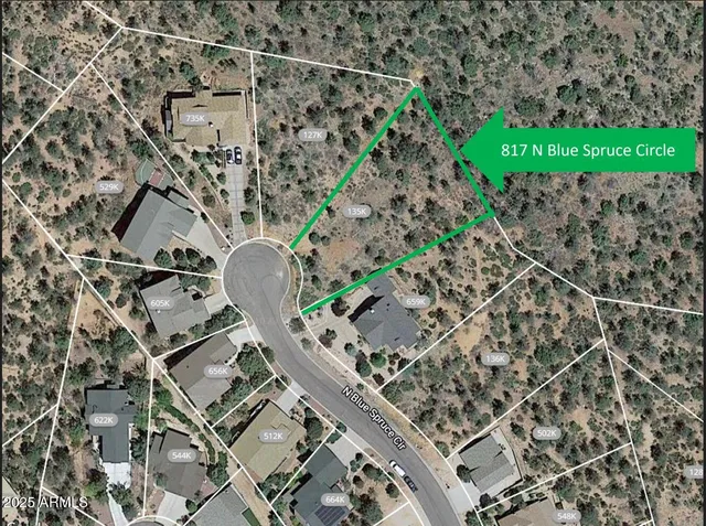 an aerial view of a backyard