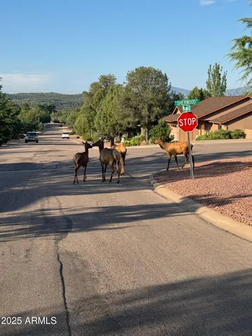 a view of outdoor space with seating