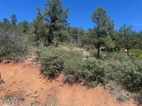 817 North Blue Spruce Circle, Unit 284 Payson, AZ 85541 - Photo 5 of 5 a view of a yard with a tree