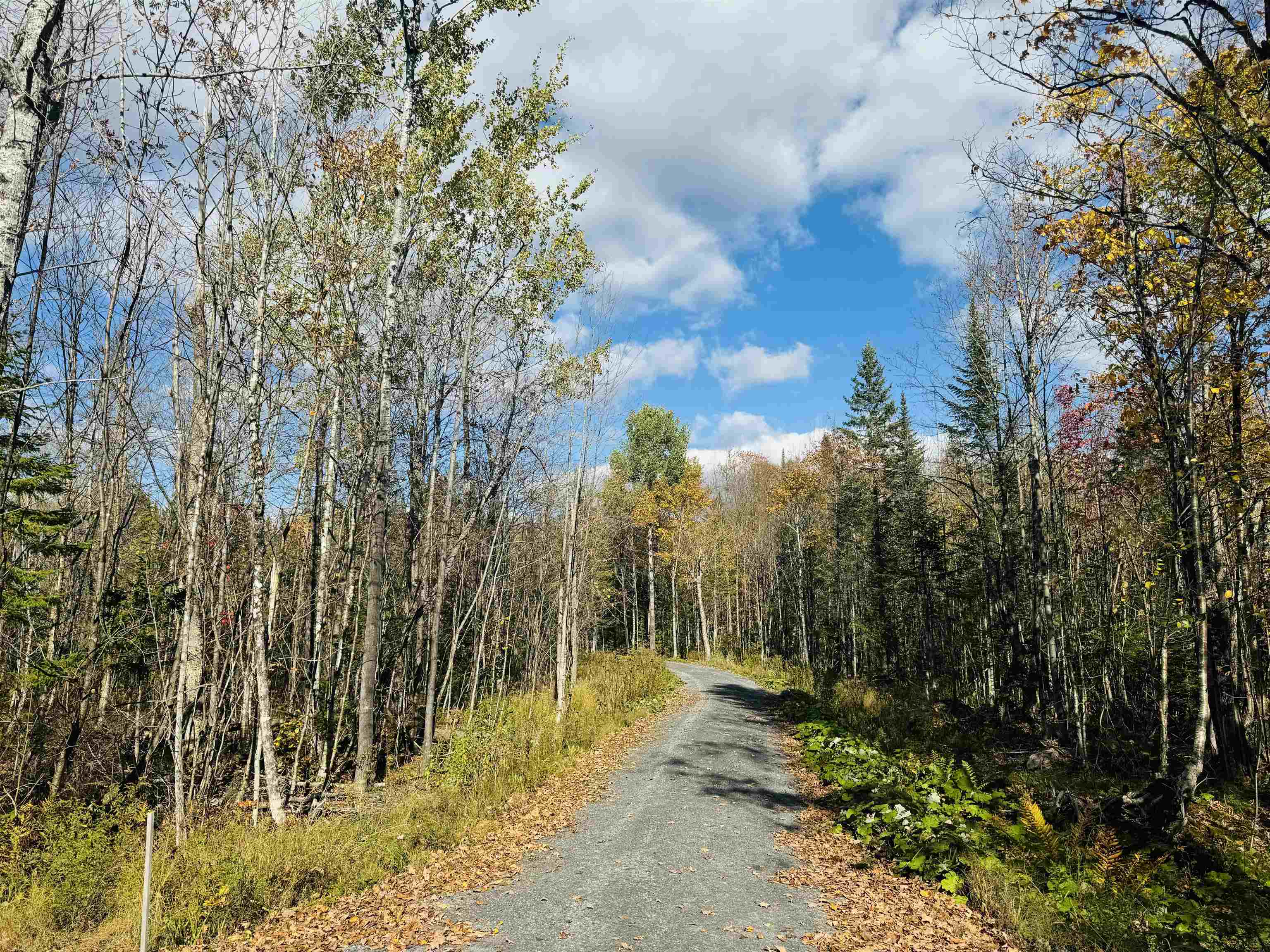 1619 Coles Pond Road Danville, VT 05828 - Photo 11 of 24