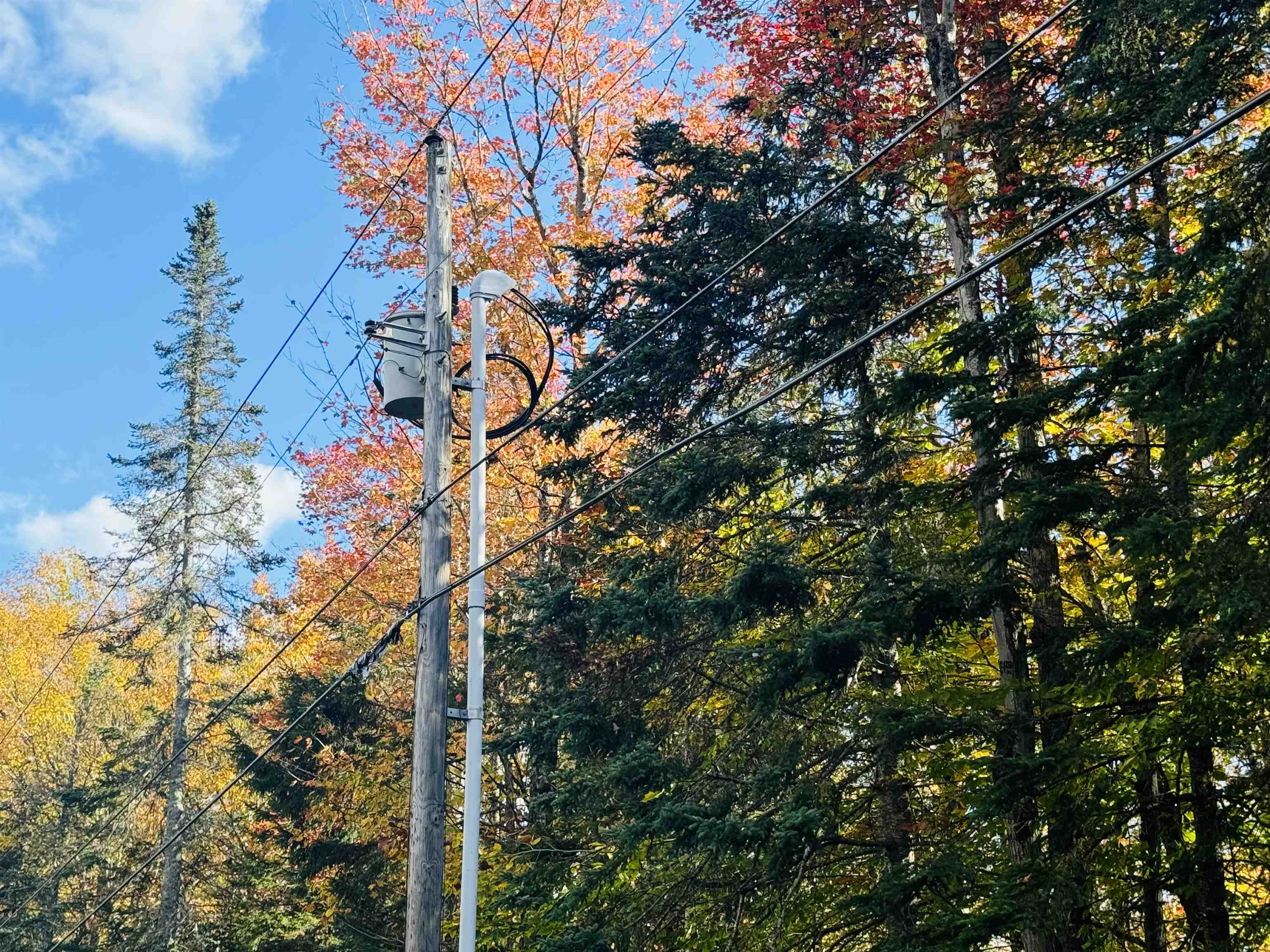 1619 Coles Pond Road Danville, VT 05828 - Photo 12 of 24