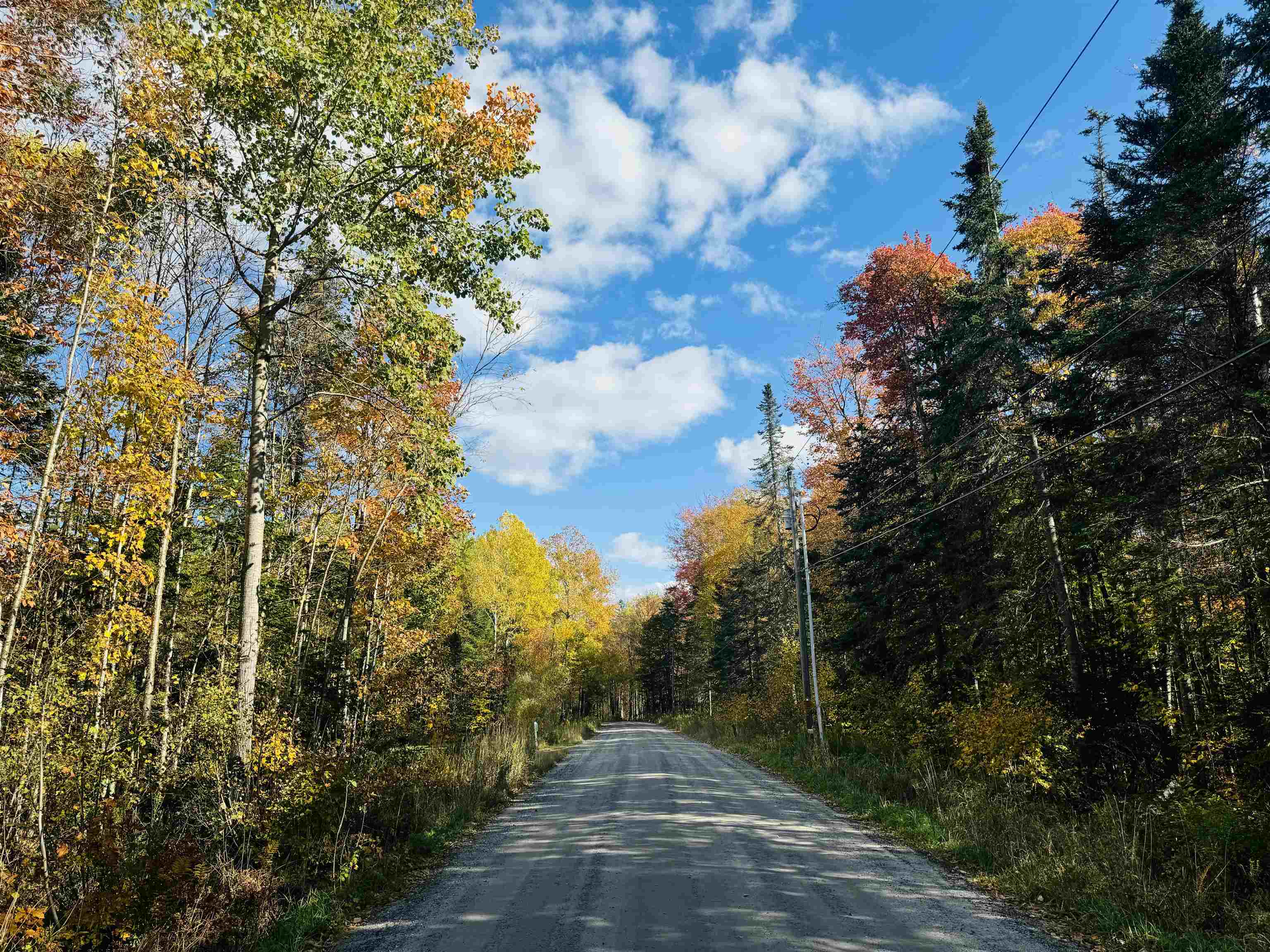 1619 Coles Pond Road Danville, VT 05828 - Photo 15 of 24