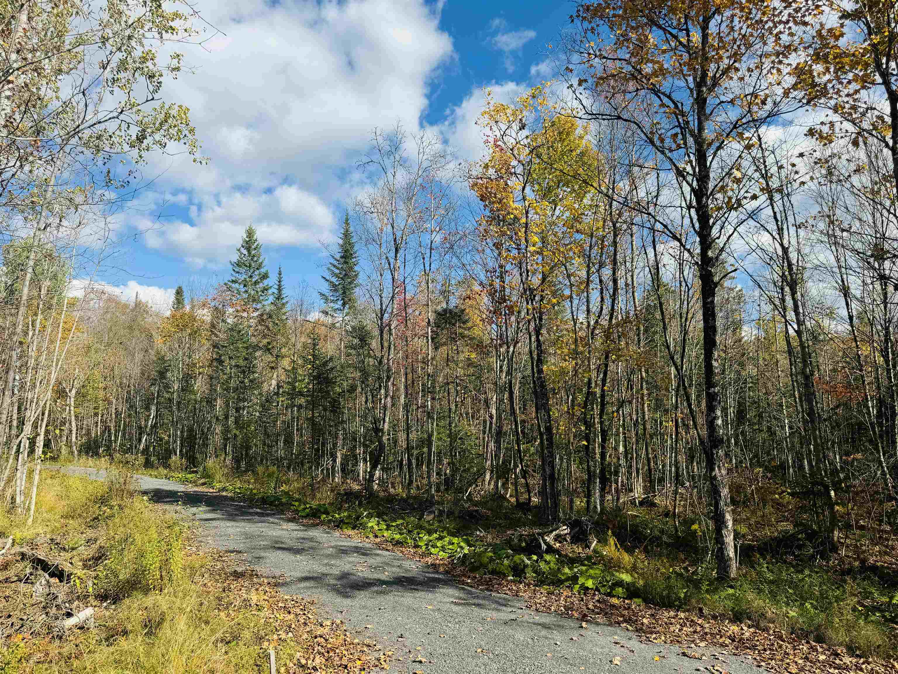 1619 Coles Pond Road Danville, VT 05828 - Photo 24 of 24