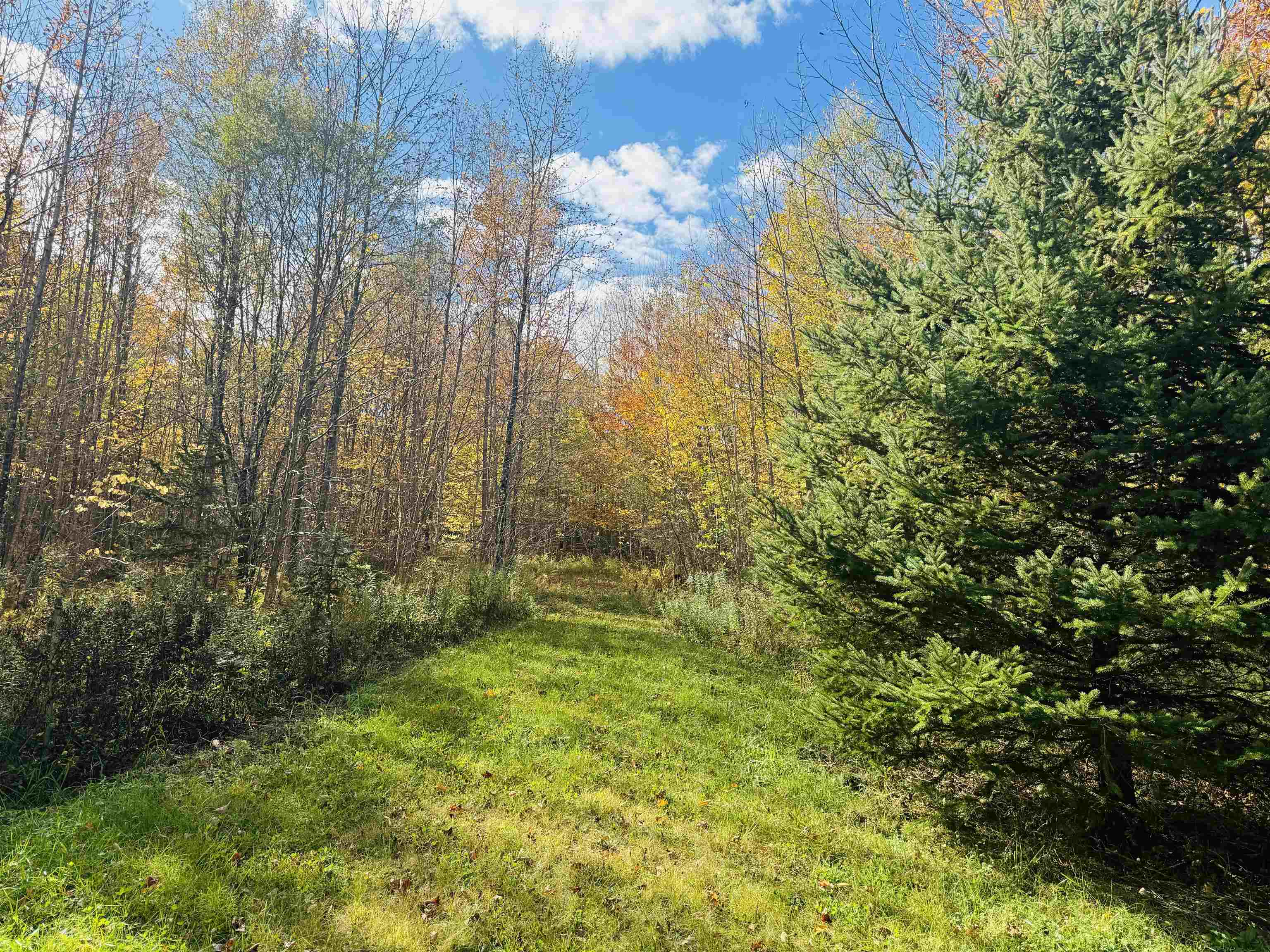 1619 Coles Pond Road Danville, VT 05828 - Photo 3 of 24