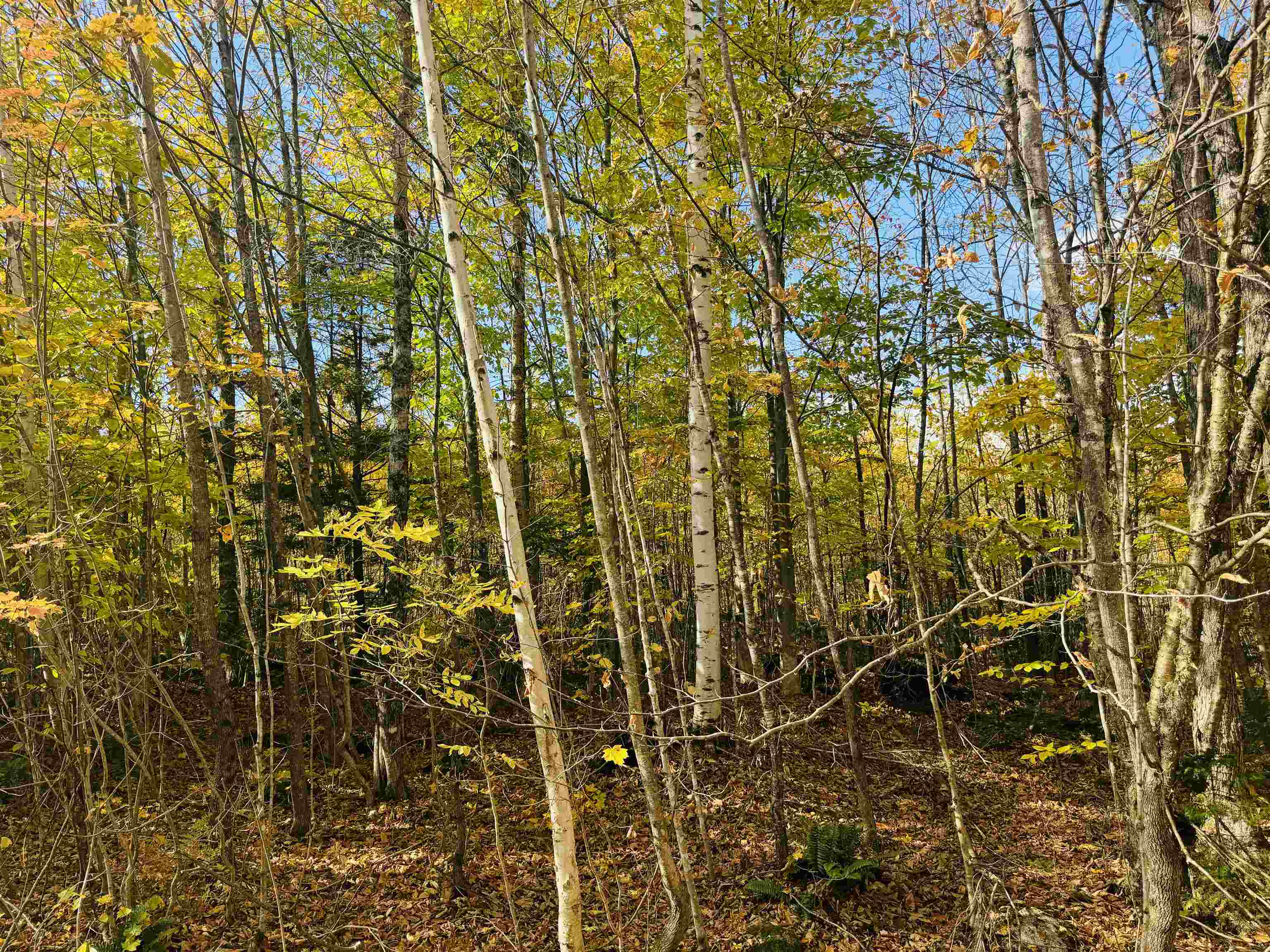 1619 Coles Pond Road Danville, VT 05828 - Photo 4 of 24