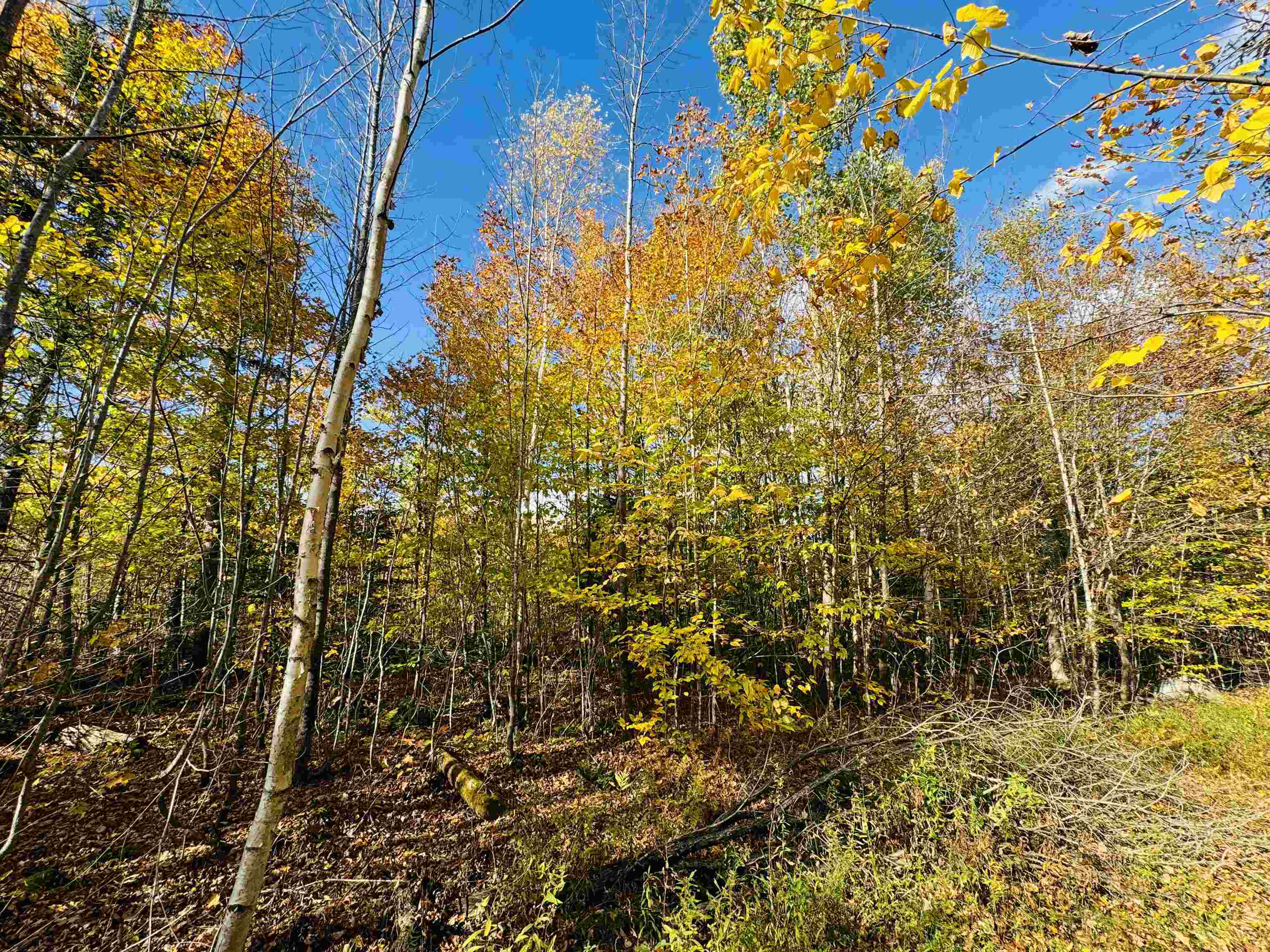 1619 Coles Pond Road Danville, VT 05828 - Photo 5 of 24