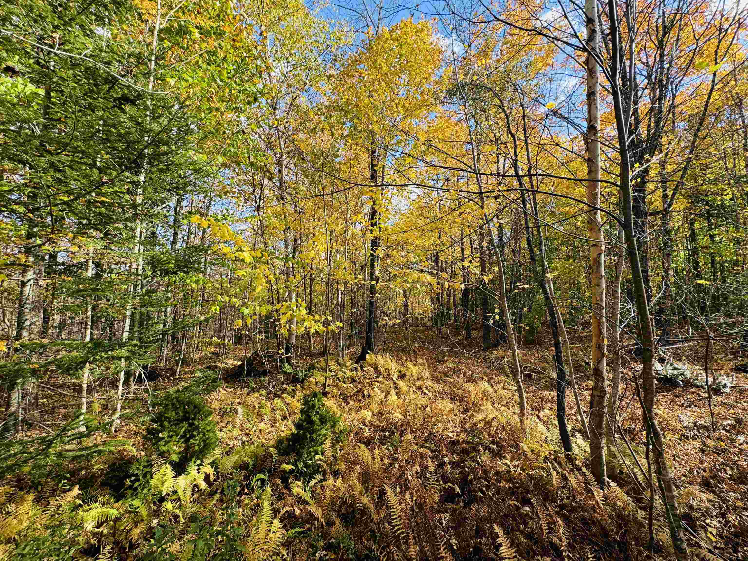 1619 Coles Pond Road Danville, VT 05828 - Photo 6 of 24