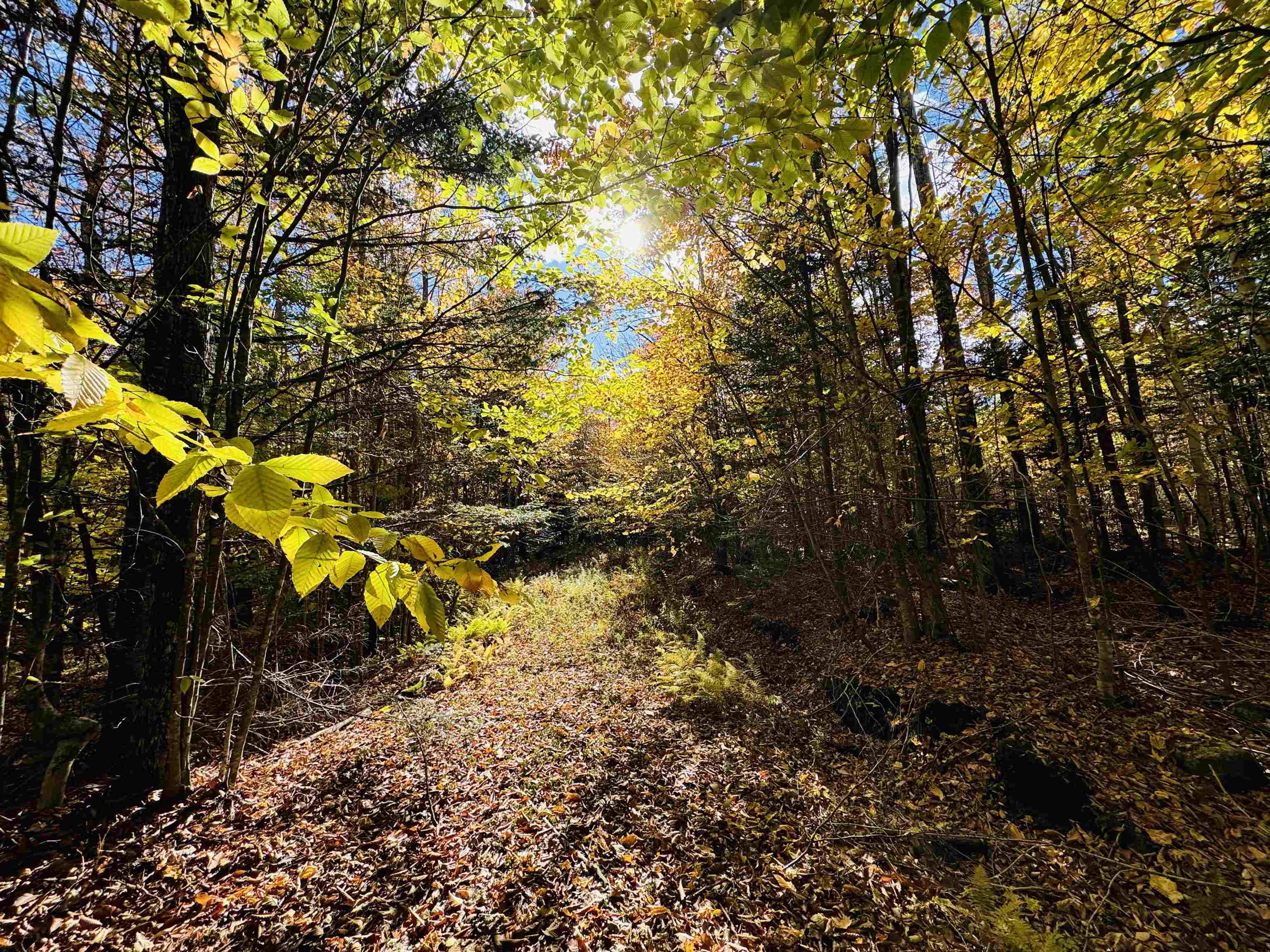 1619 Coles Pond Road Danville, VT 05828 - Photo 7 of 24