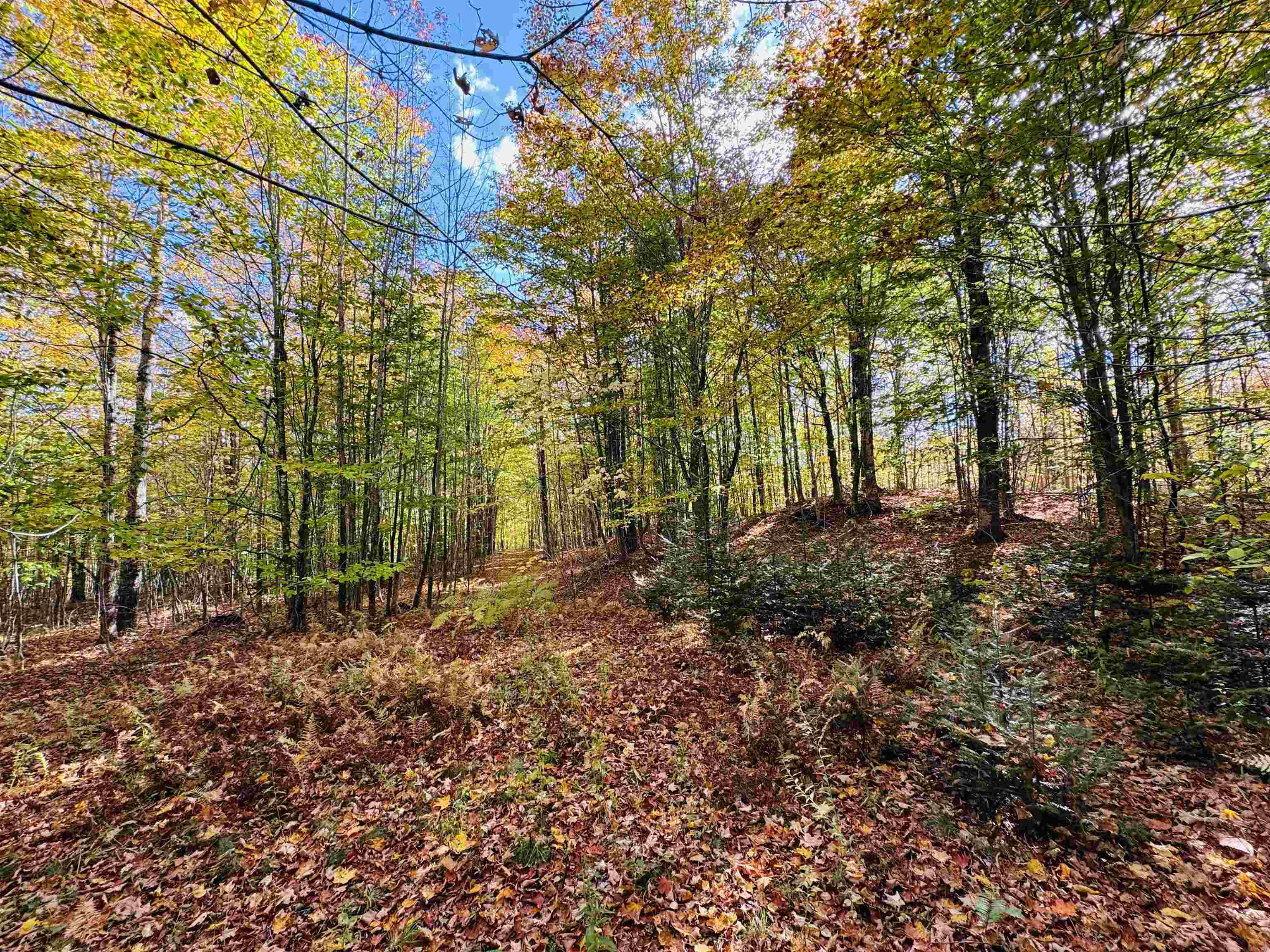 1619 Coles Pond Road Danville, VT 05828 - Photo 8 of 24