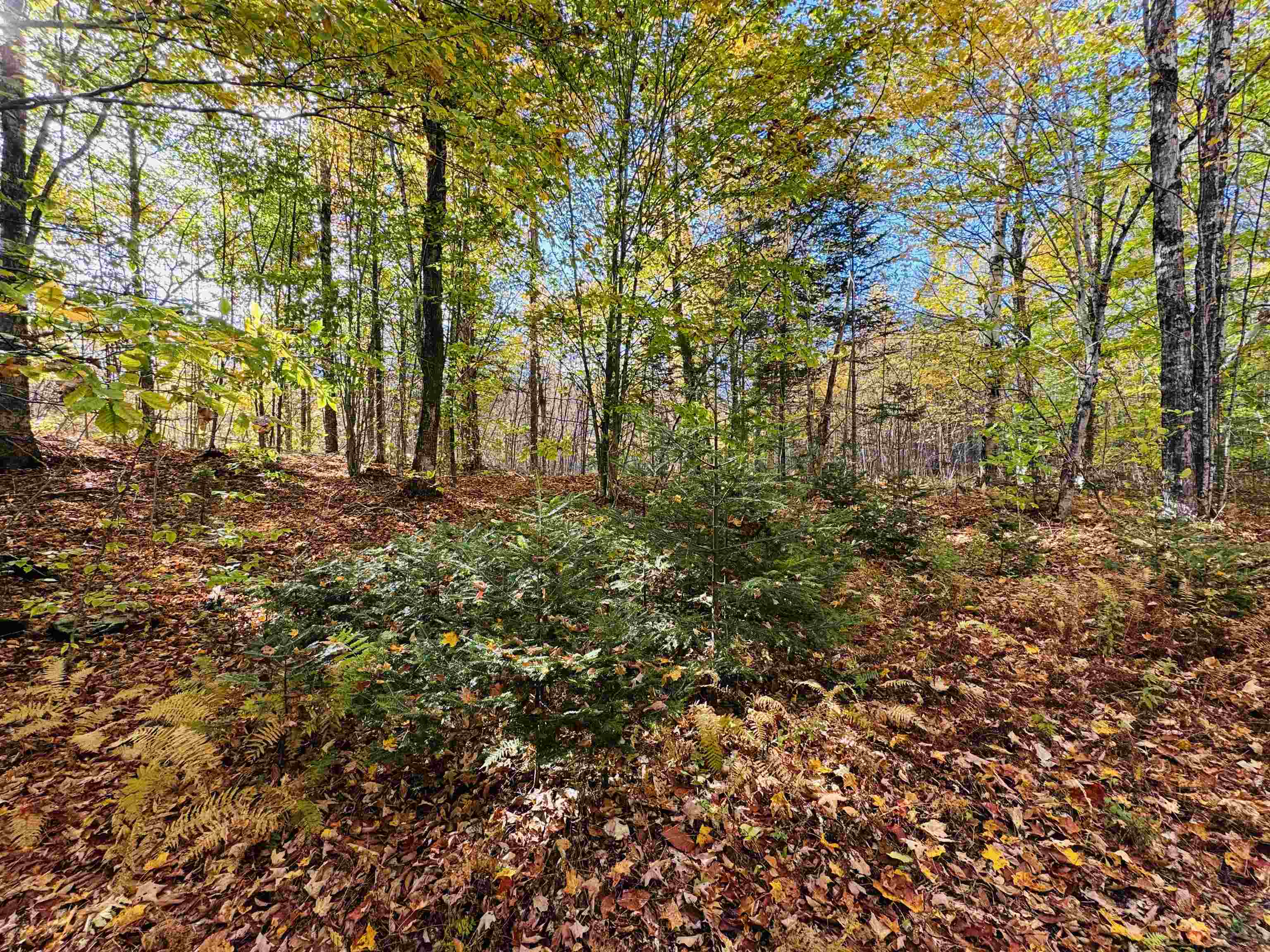 1619 Coles Pond Road Danville, VT 05828 - Photo 9 of 24