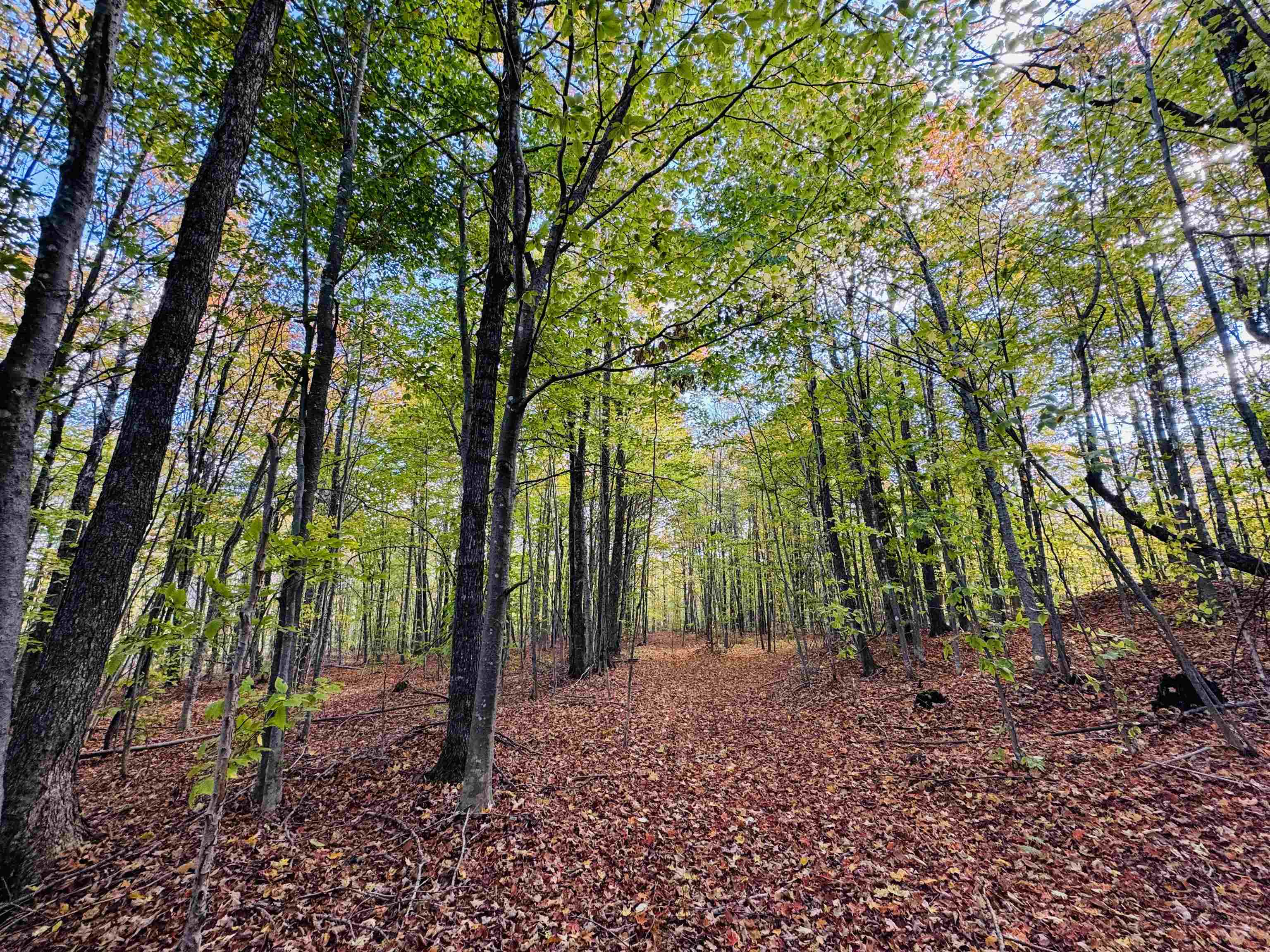 1619 Coles Pond Road Danville, VT 05828 - Photo 10 of 24