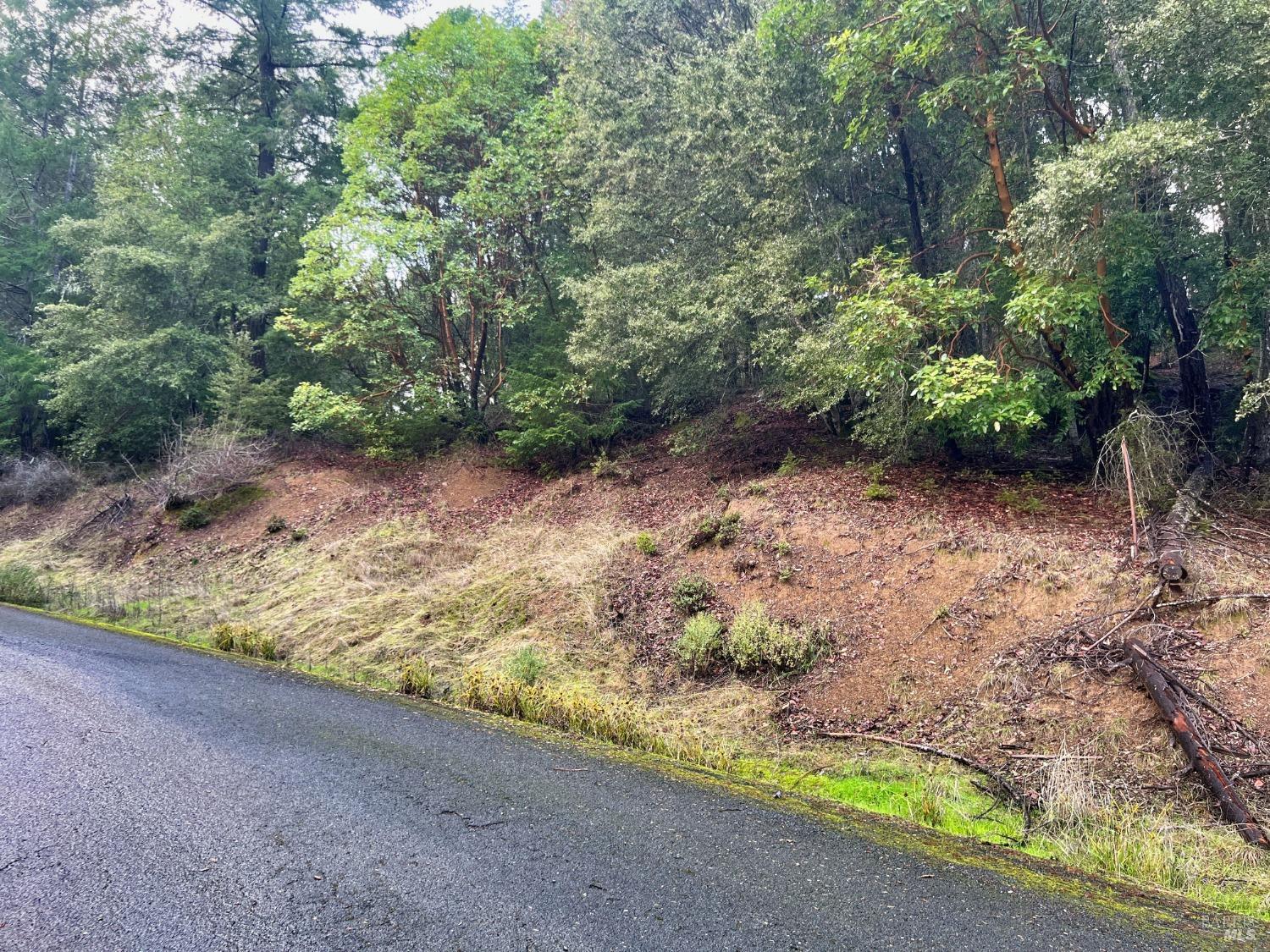 a view of a pathway with a yard