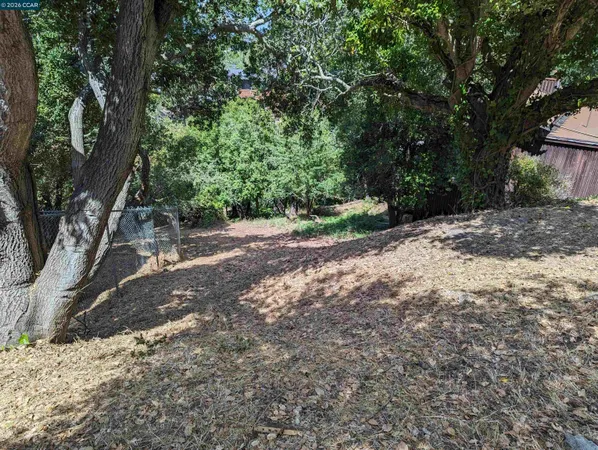 a view of a dirt road with trees in the background
