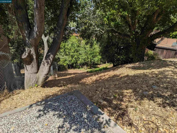 a view of a yard with large trees