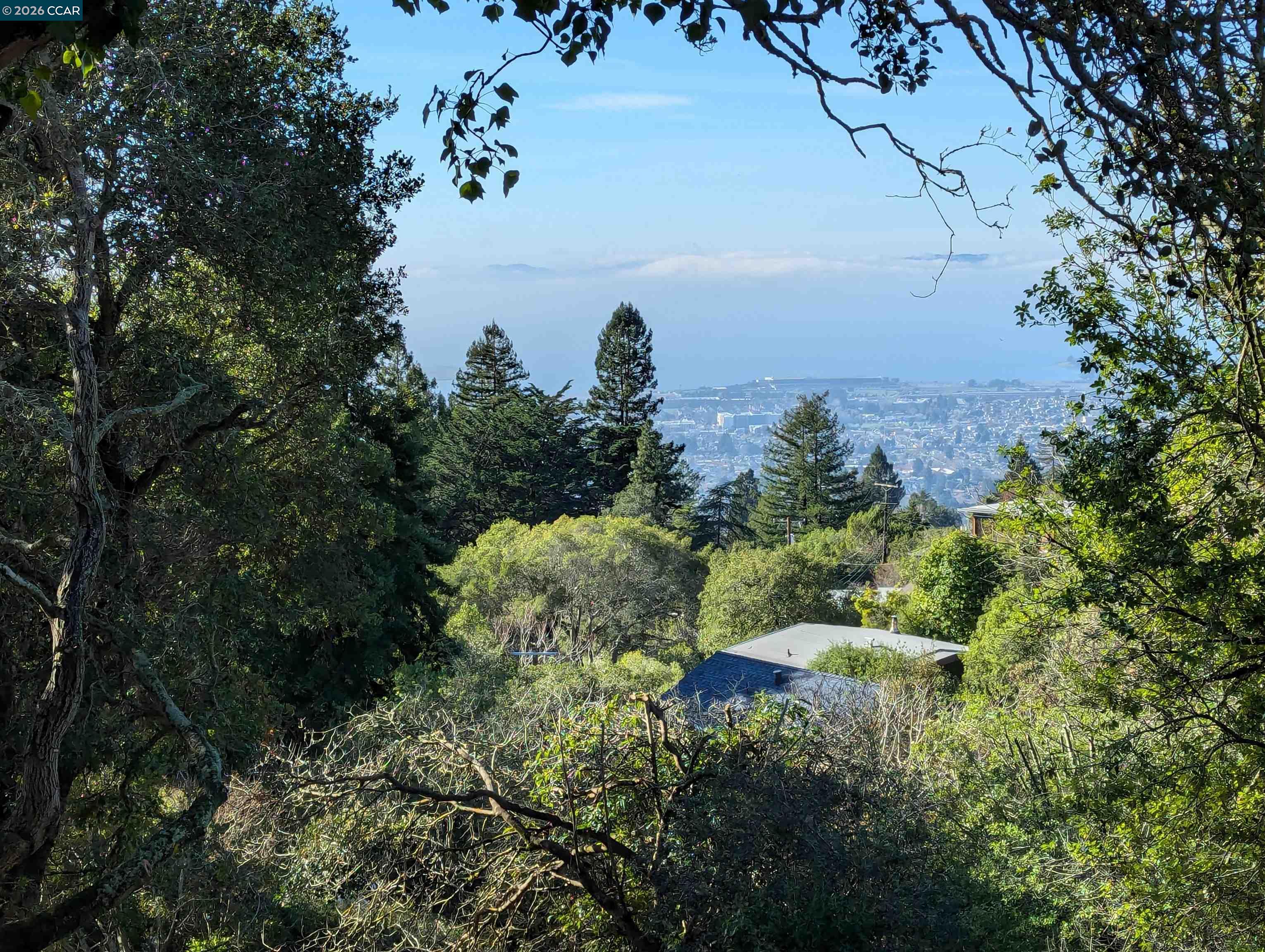 1110 Sterling Avenue Berkeley, CA 94708 - Photo 9 of 25 a view of a garden with a house