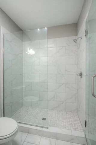 a bathroom with a shower and toilet