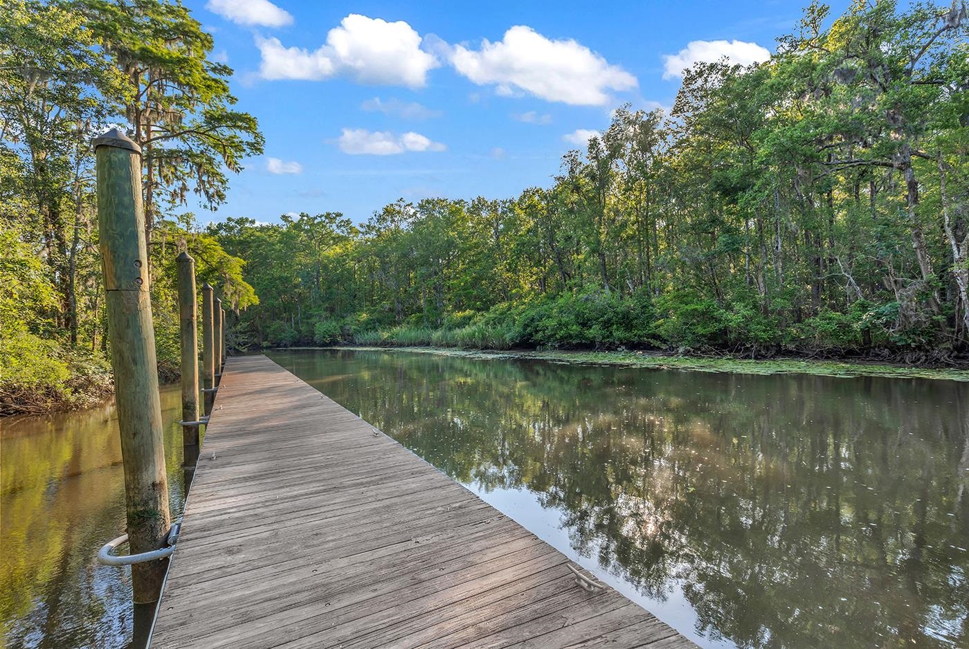 673 Woody Point Murrells Inlet, SC 29576 - Photo 62 of 63