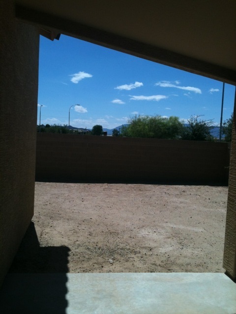 4681 West Carson Road Laveen, AZ 85339 - Photo 9 of 9 Back Yard
