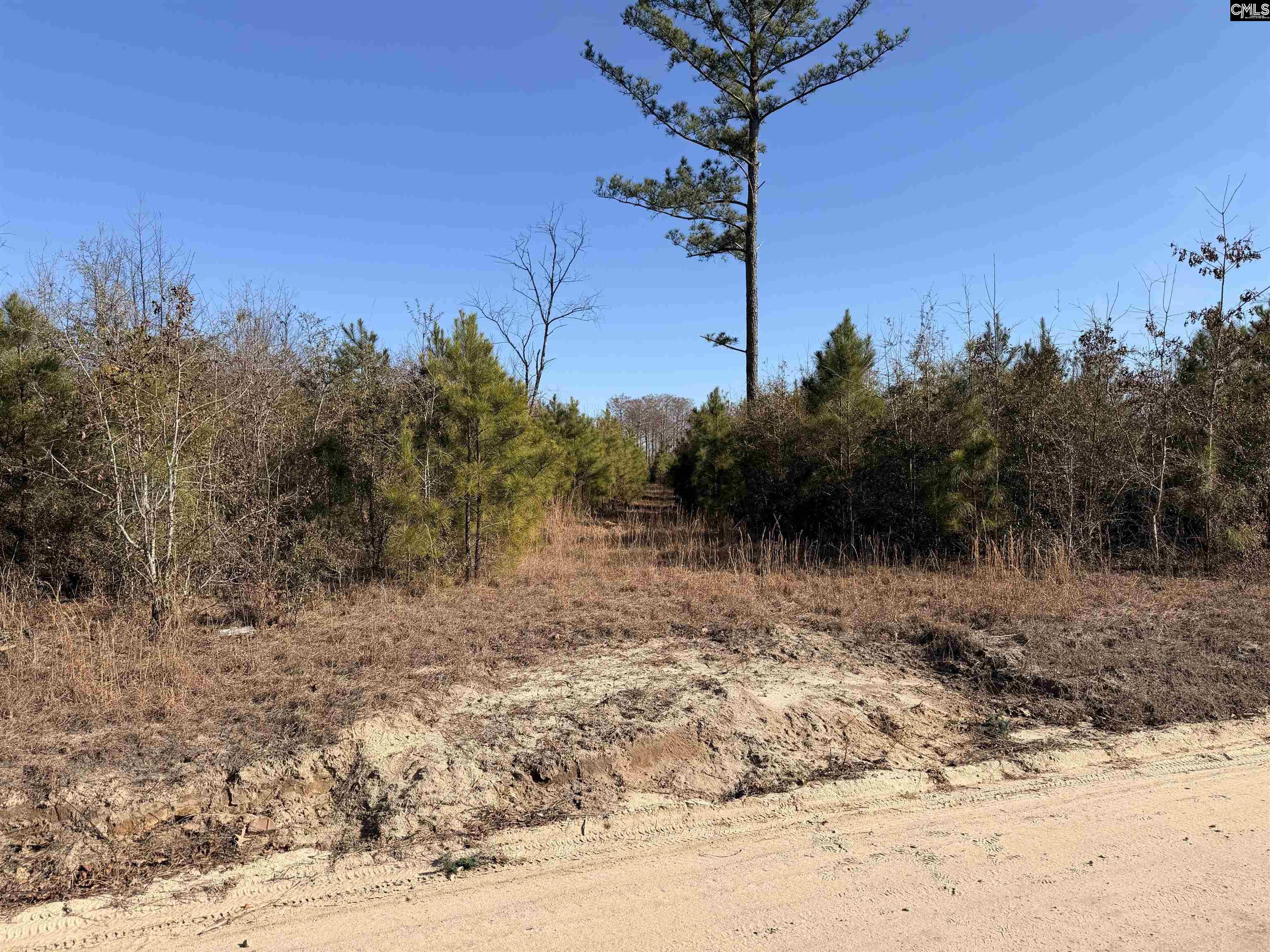 0 Proctor Road Cope, SC 29038 - Photo 9 of 11