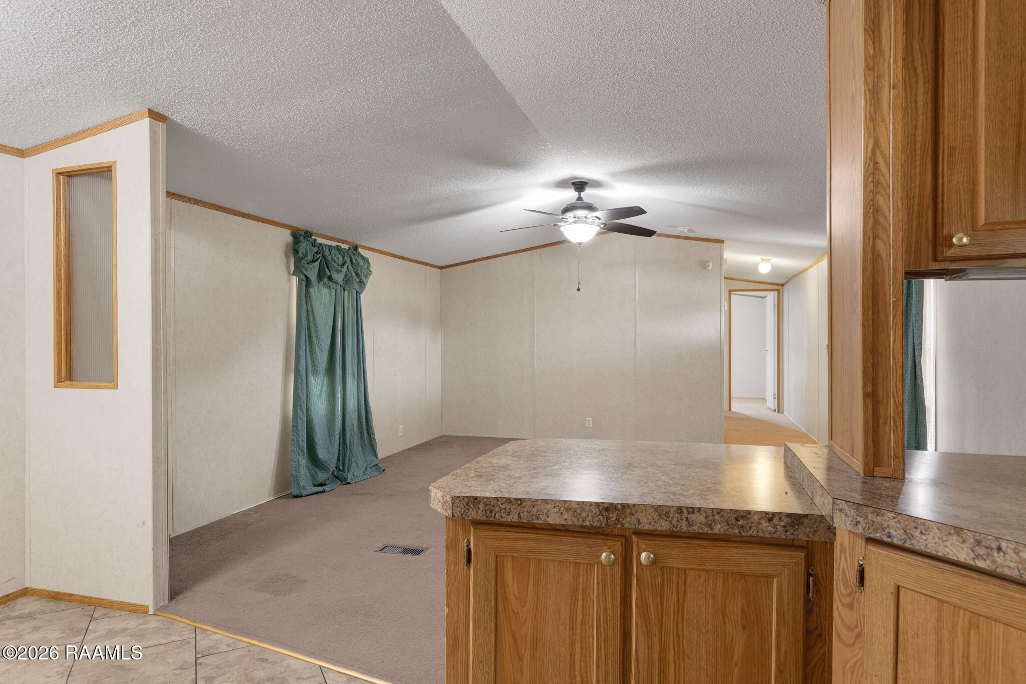 160 Gayle Drive Church Point, LA 70525 - Photo 9 of 30 10-web-or-mls-160 Gayle Dr-10