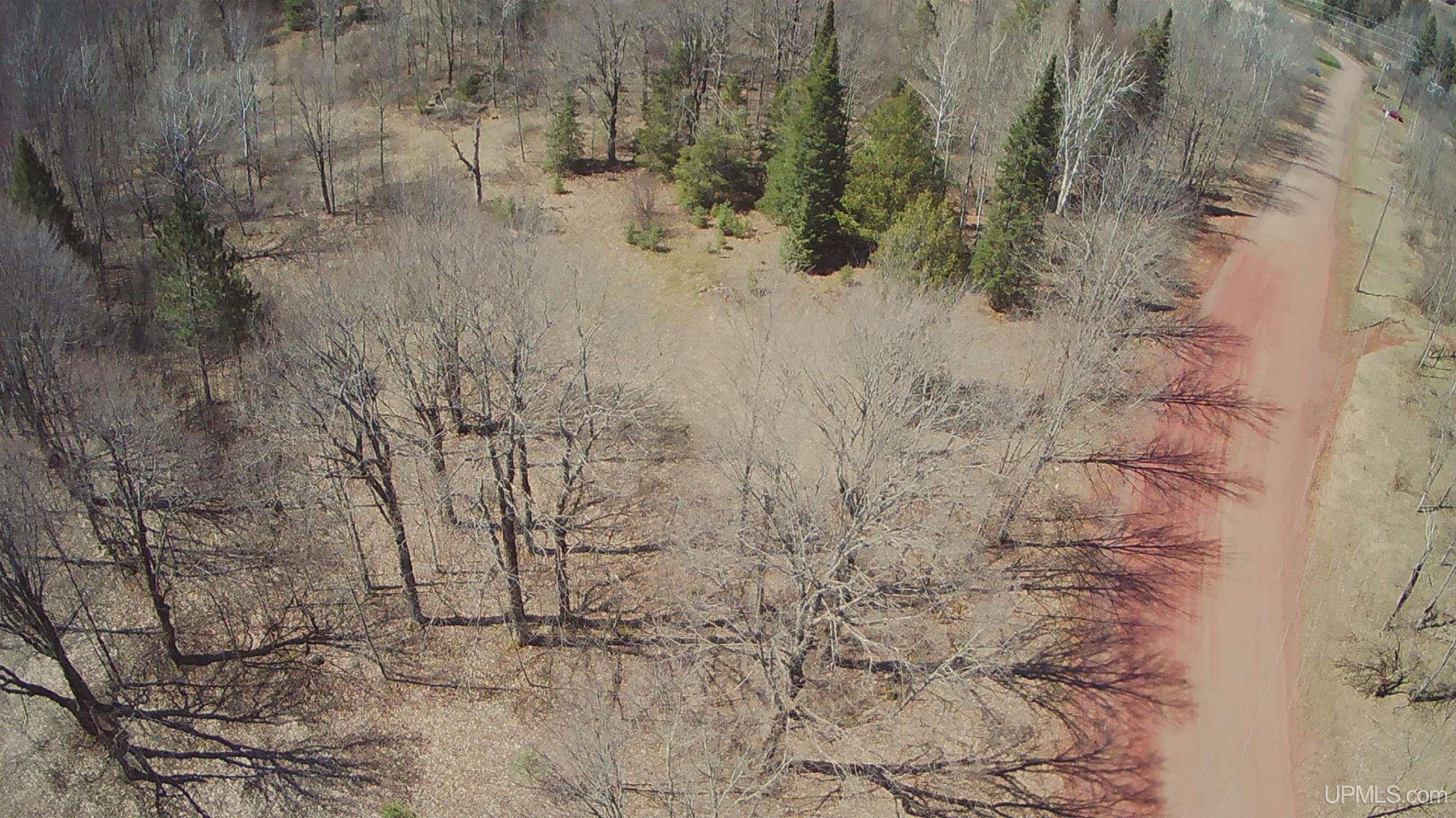 Tbd Tbd Burma Parcel A Road Bessemer, MI 49911 - Photo 4 of 8