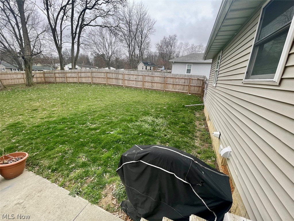 146 Home Street Rittman, OH 44270 - Photo 19 of 25 View of yard