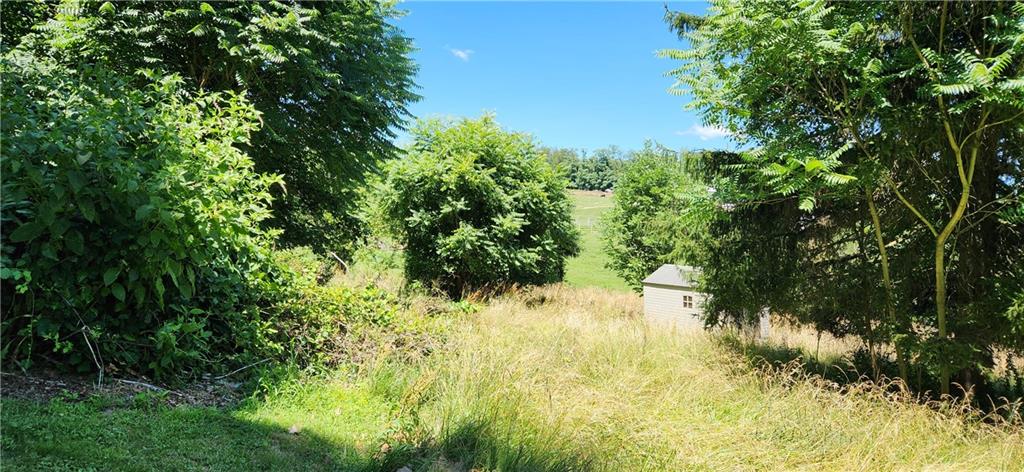 667 Jefferson Road Perryopolis, PA 15473 - Photo 7 of 13 a view of a yard