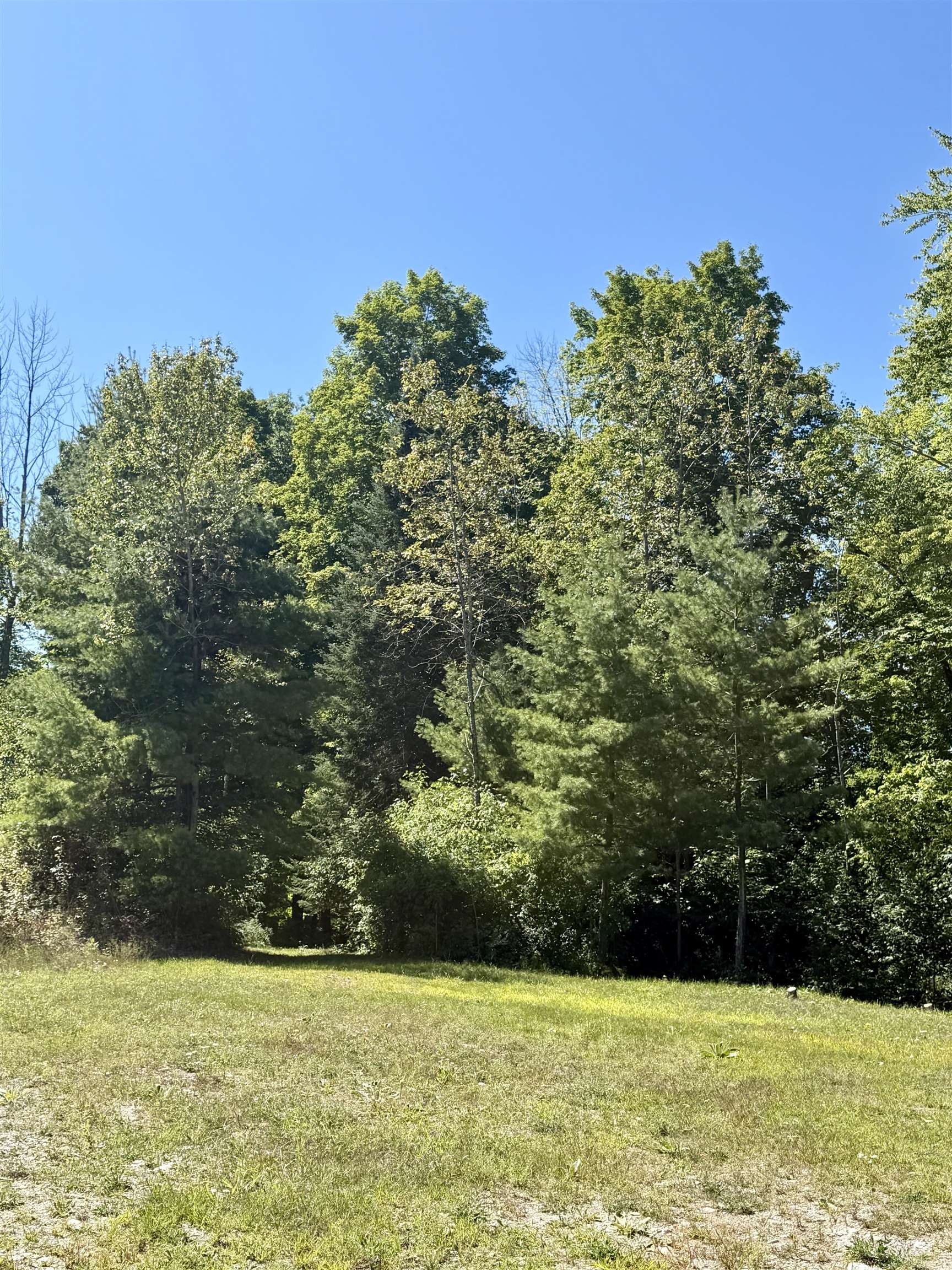 N11169 Rademaker Road, Unit 12 Wausaukee, WI 54177 - Photo 16 of 18 Gallery Image 16