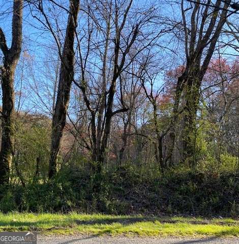 Lot 52-53&54 Yellowbird Trail Blue Ridge, GA 30513 - Photo 1 of 1 Gallery Image 1