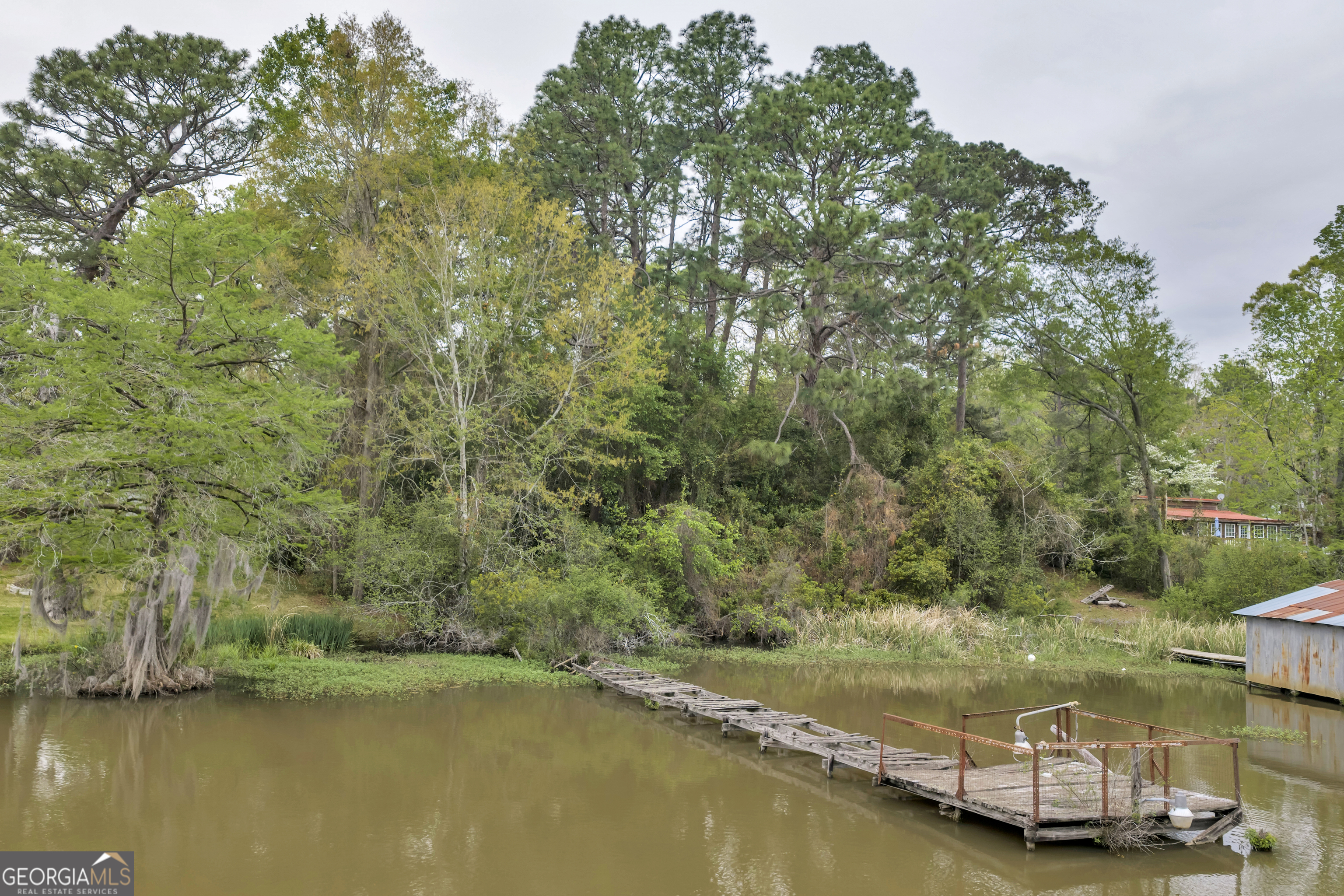 728 Cork Ferry Road Cordele, GA 31015 - Photo 11 of 12 a view of a lake with houses