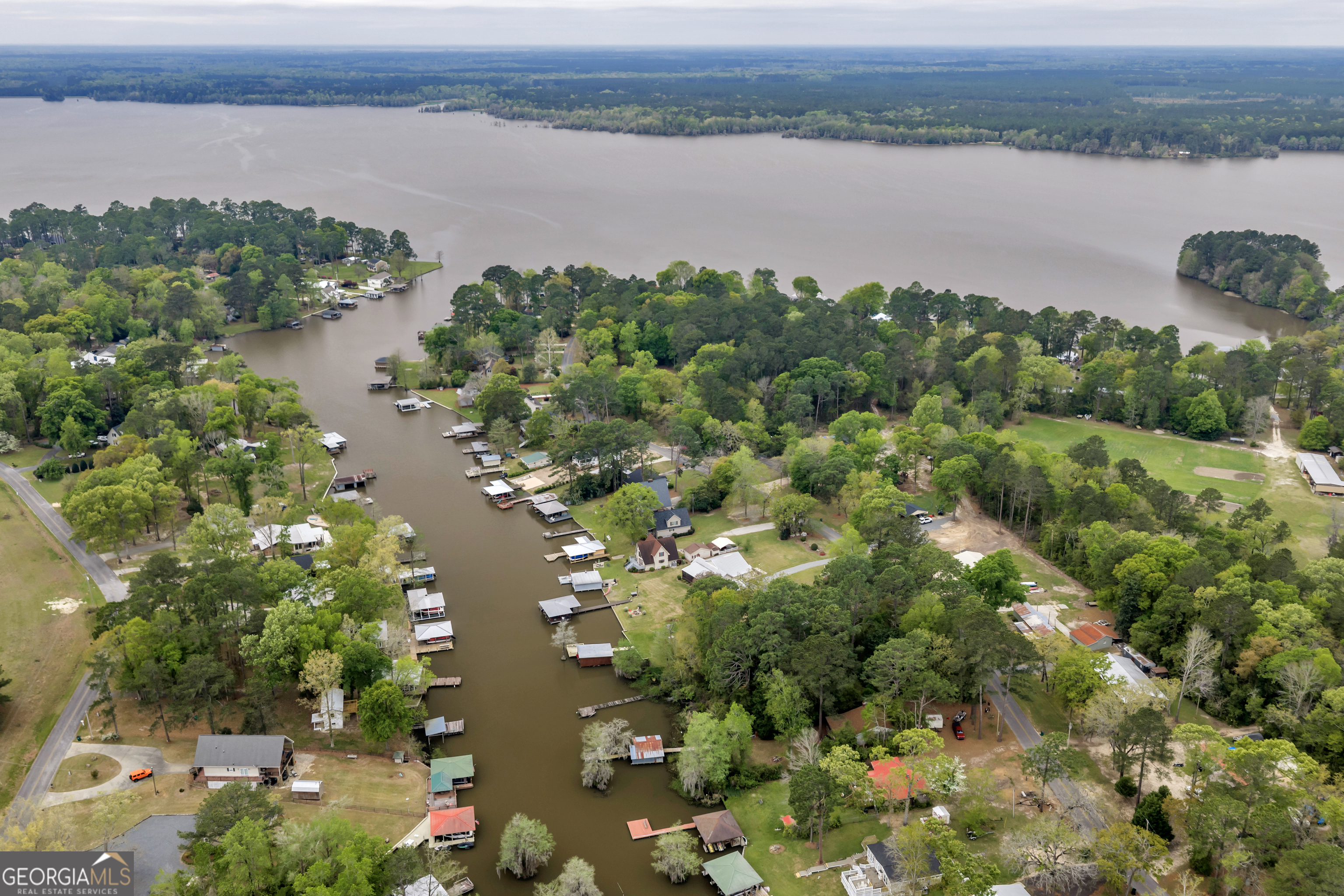 728 Cork Ferry Road Cordele, GA 31015 - Photo 3 of 12 a view of lake