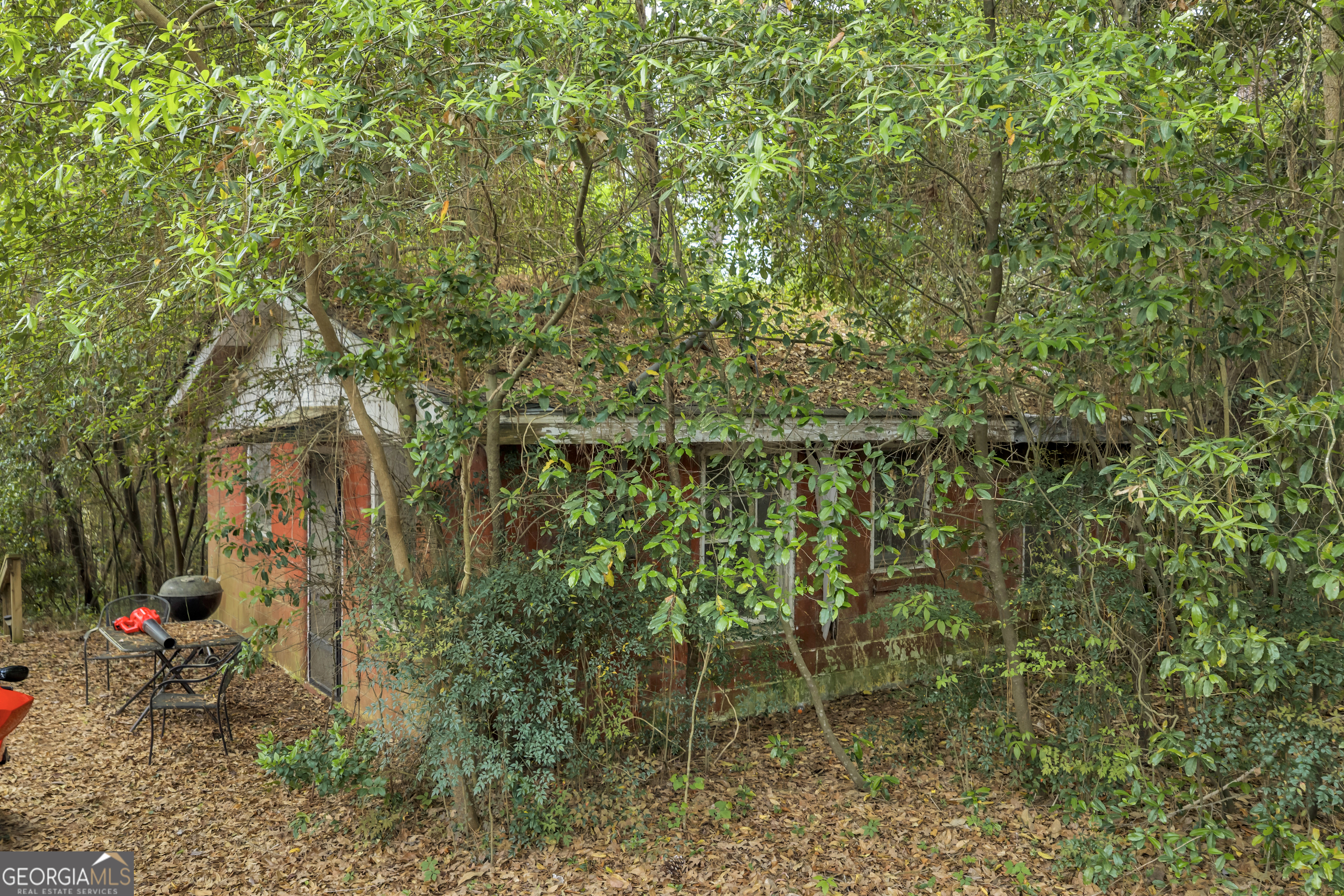 728 Cork Ferry Road Cordele, GA 31015 - Photo 4 of 12 a backyard of a house with lots of green space and trees